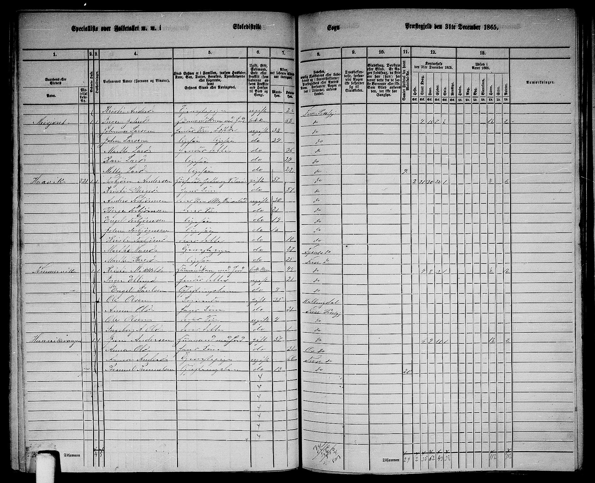 RA, 1865 census for Fusa, 1865, p. 89