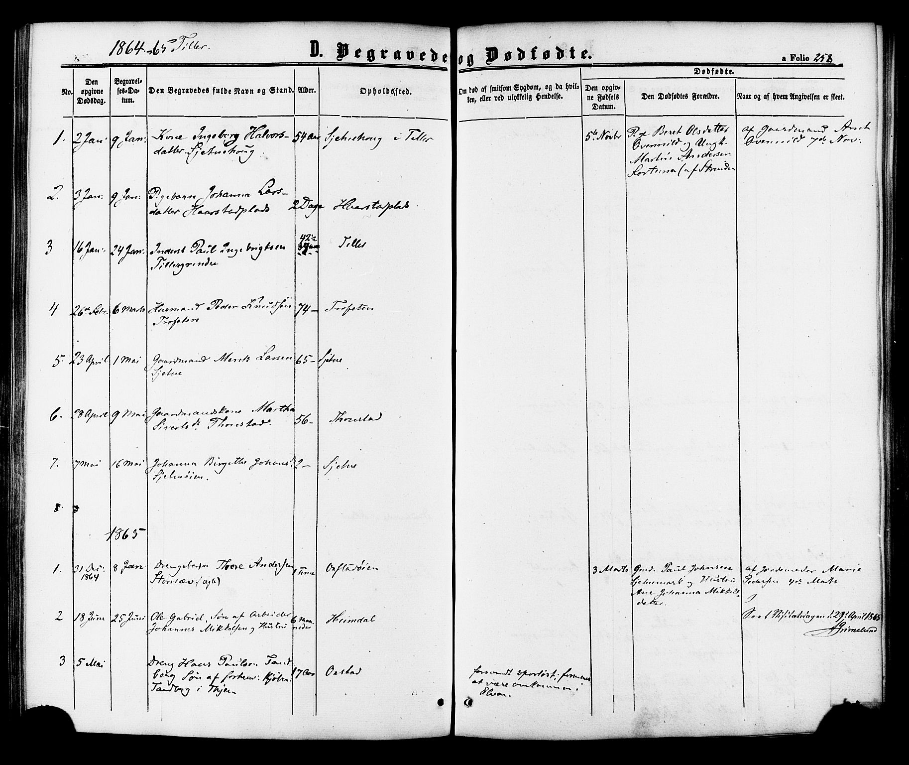 Ministerialprotokoller, klokkerbøker og fødselsregistre - Sør-Trøndelag, AV/SAT-A-1456/618/L0443: Parish register (official) no. 618A06 /2, 1863-1879, p. 258