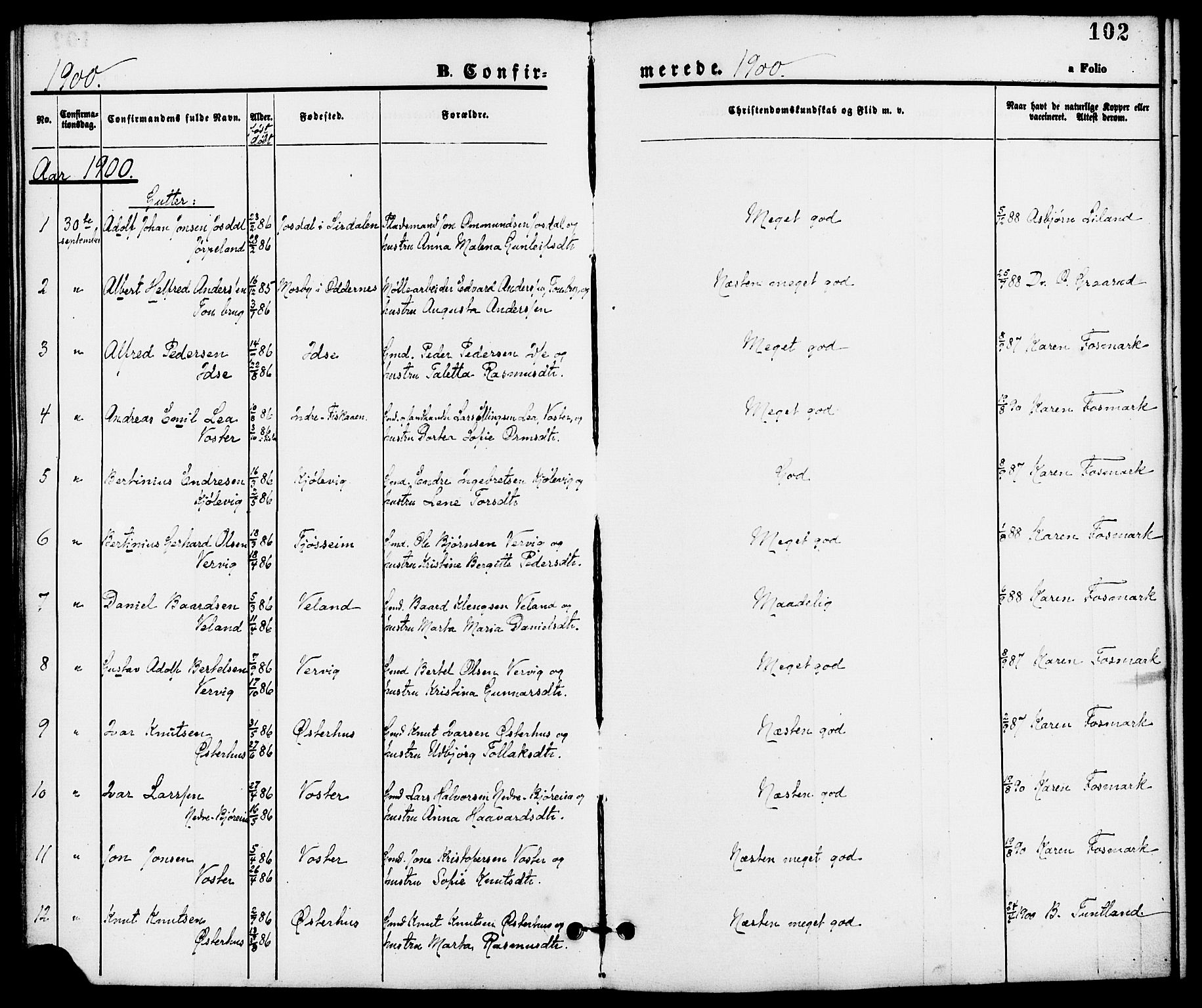 Strand sokneprestkontor, SAST/A-101828/H/Ha/Haa/L0008: Parish register (official) no. A 8, 1874-1907, p. 102