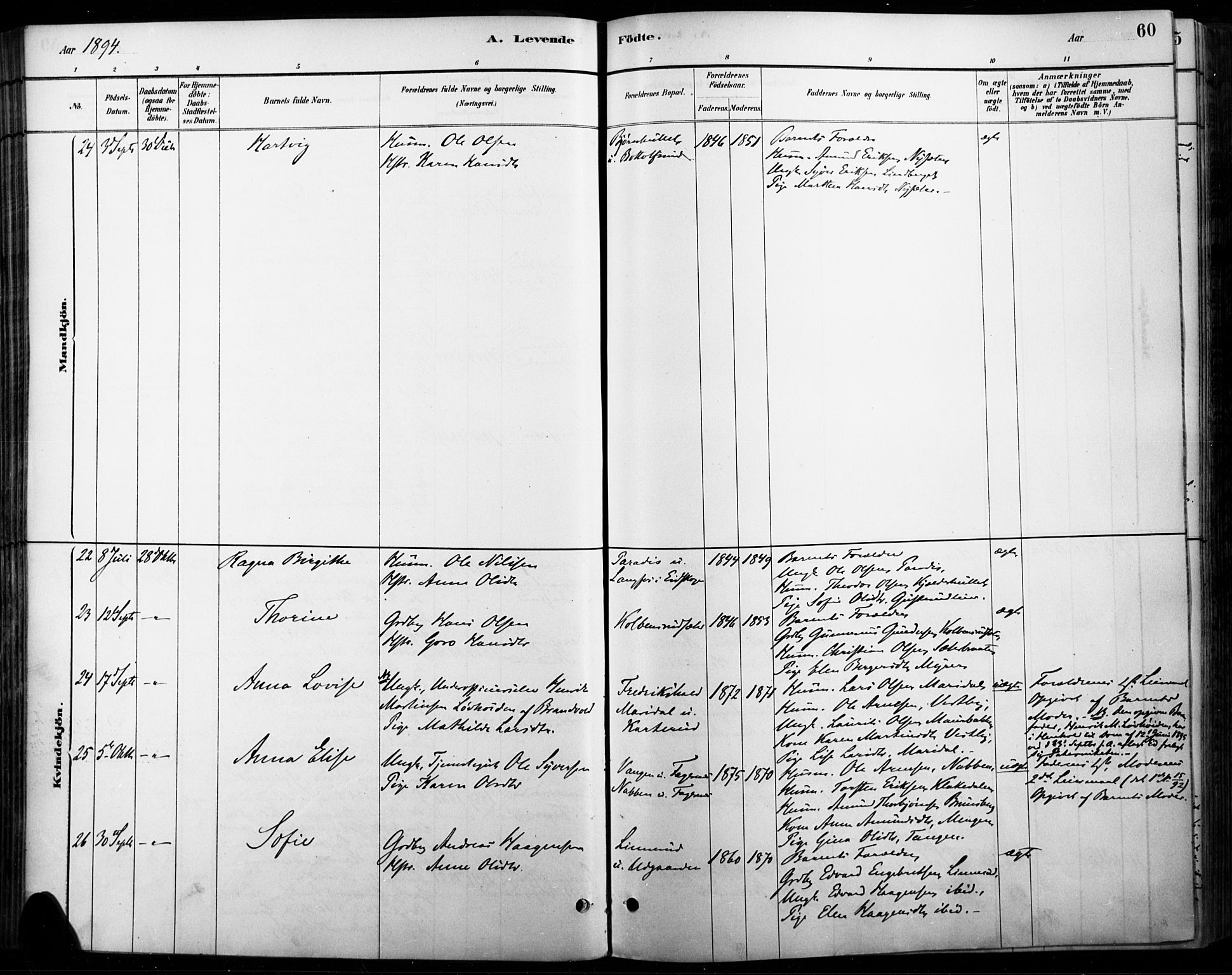 Vinger prestekontor, SAH/PREST-024/H/Ha/Haa/L0015: Parish register (official) no. 15, 1881-1900, p. 60