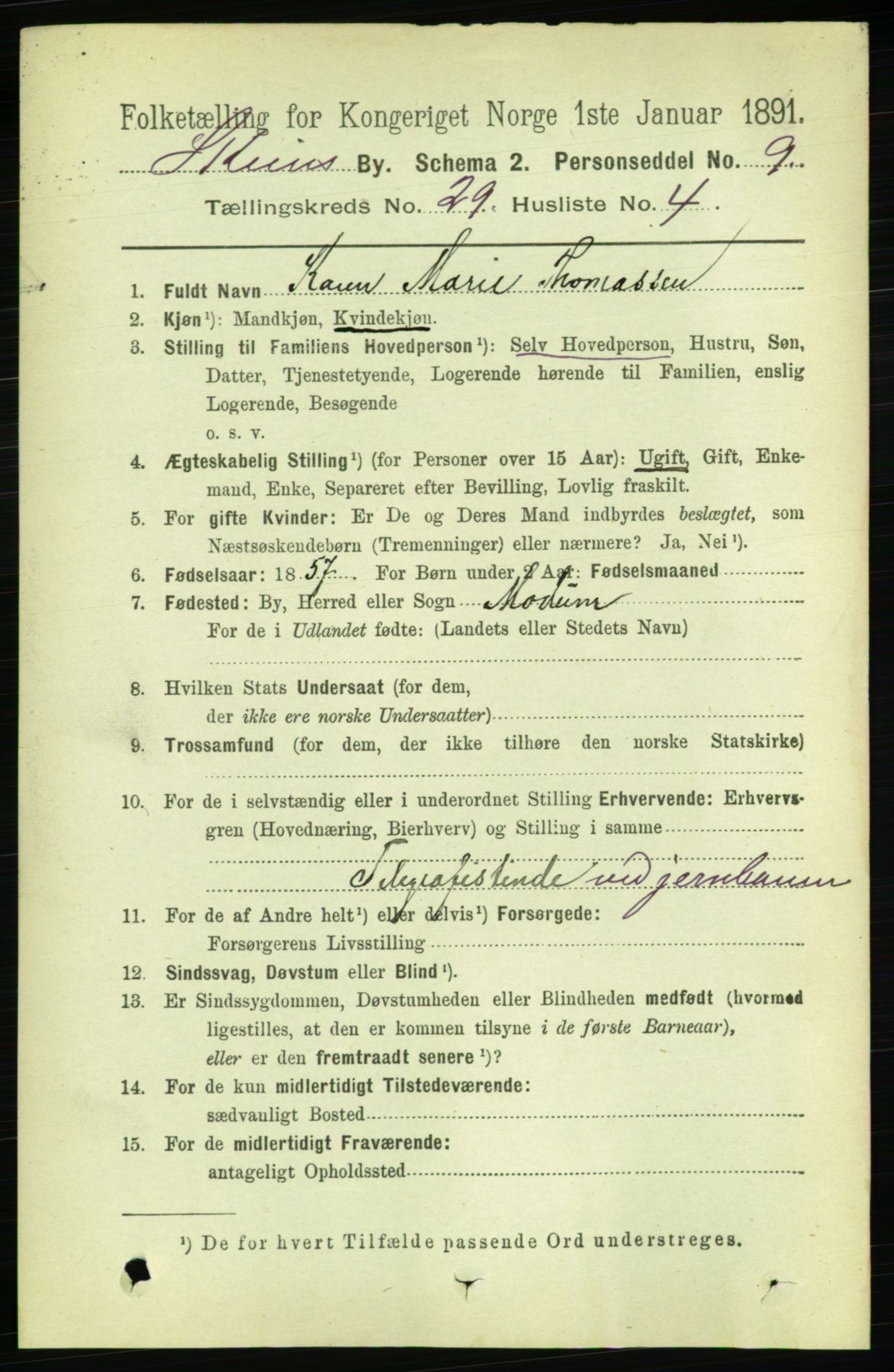 RA, 1891 census for 0806 Skien, 1891, p. 6733