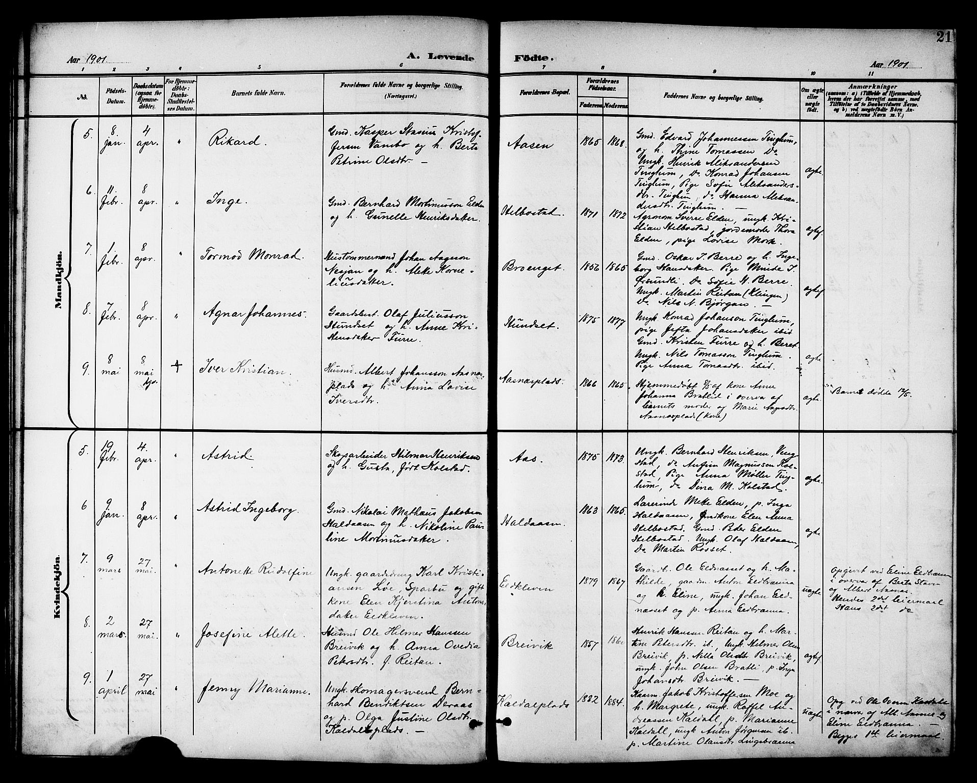 Ministerialprotokoller, klokkerbøker og fødselsregistre - Nord-Trøndelag, AV/SAT-A-1458/742/L0412: Parish register (copy) no. 742C03, 1898-1910, p. 21