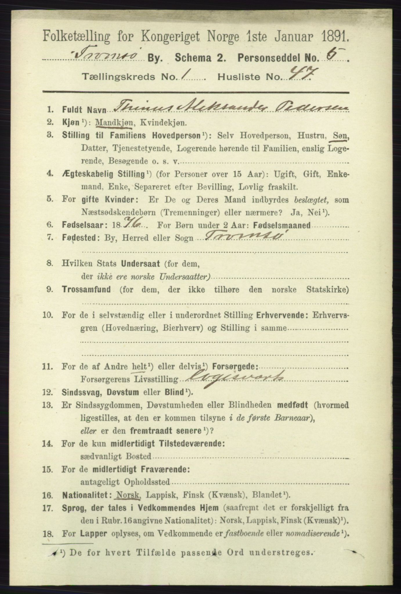 RA, 1891 census for 1902 Tromsø, 1891, p. 733