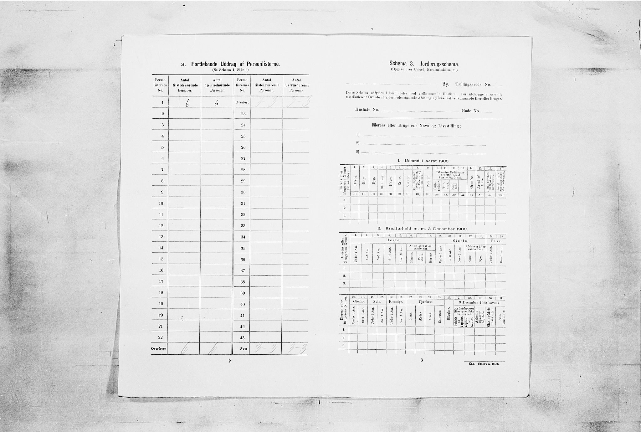 SAKO, 1900 census for Brevik, 1900, p. 89