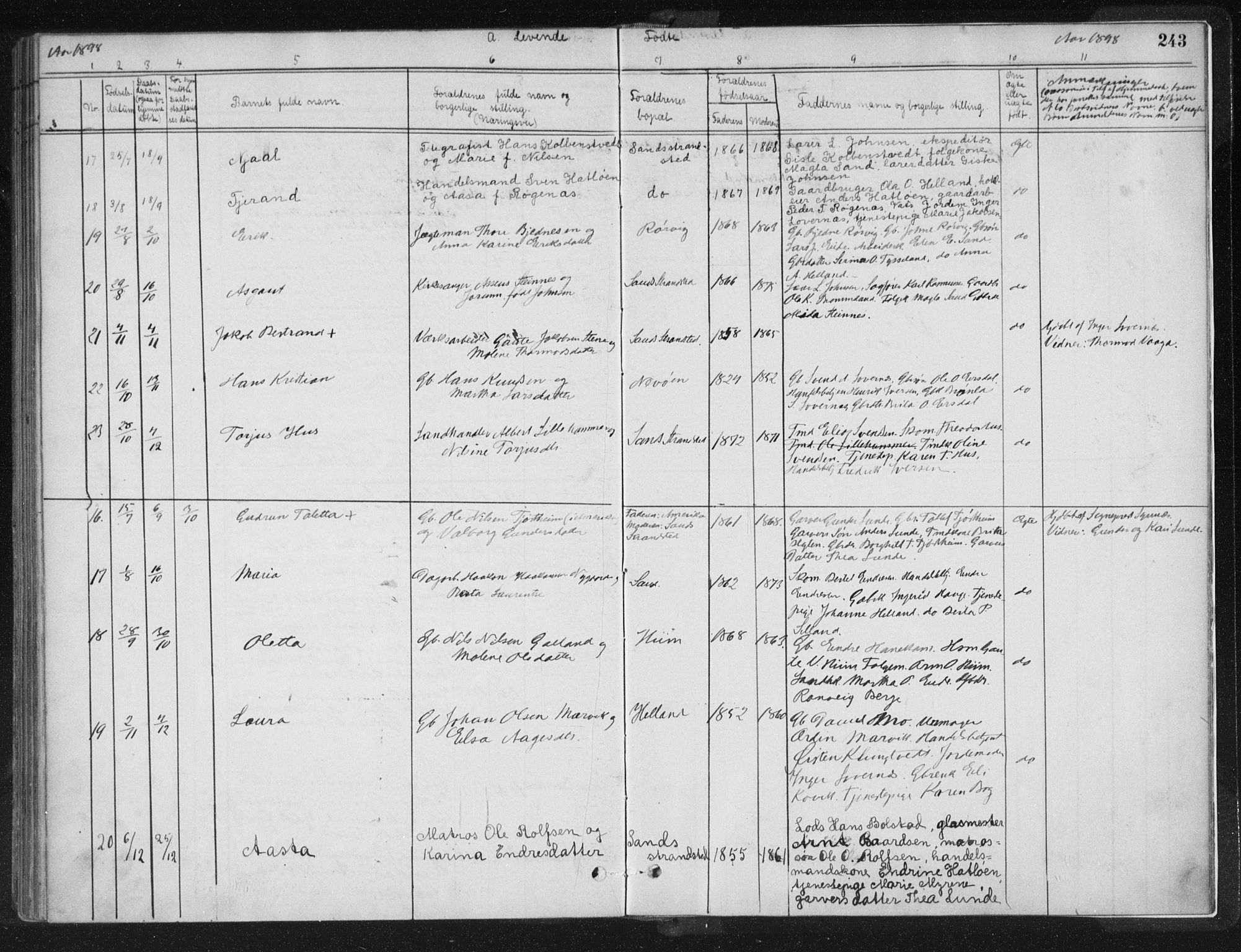 Sand sokneprestkontor, AV/SAST-A-101848/01/III/L0005: Parish register (official) no. A 5, 1880-1898, p. 243