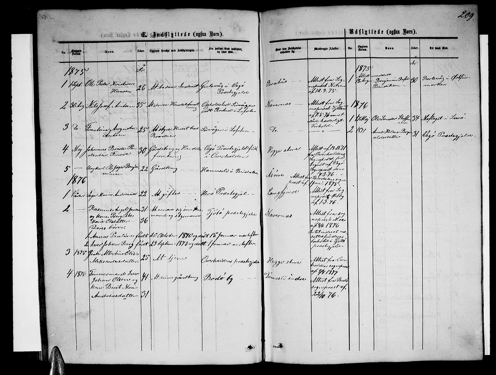 Ministerialprotokoller, klokkerbøker og fødselsregistre - Nordland, AV/SAT-A-1459/814/L0229: Parish register (copy) no. 814C02, 1859-1883, p. 209