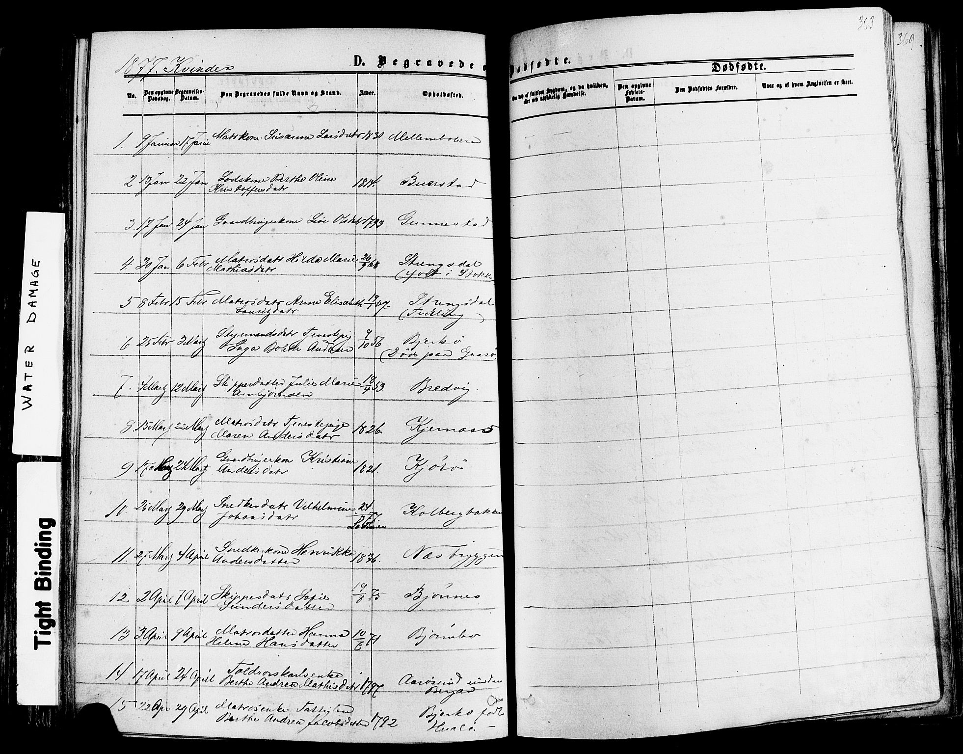 Nøtterøy kirkebøker, AV/SAKO-A-354/F/Fa/L0007: Parish register (official) no. I 7, 1865-1877, p. 363