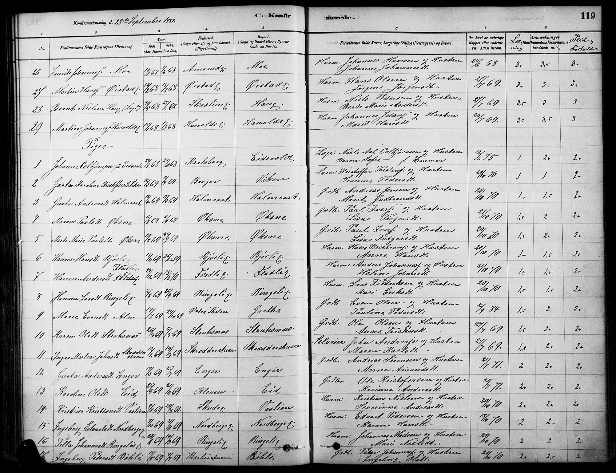 Søndre Land prestekontor, AV/SAH-PREST-122/K/L0003: Parish register (official) no. 3, 1878-1894, p. 119