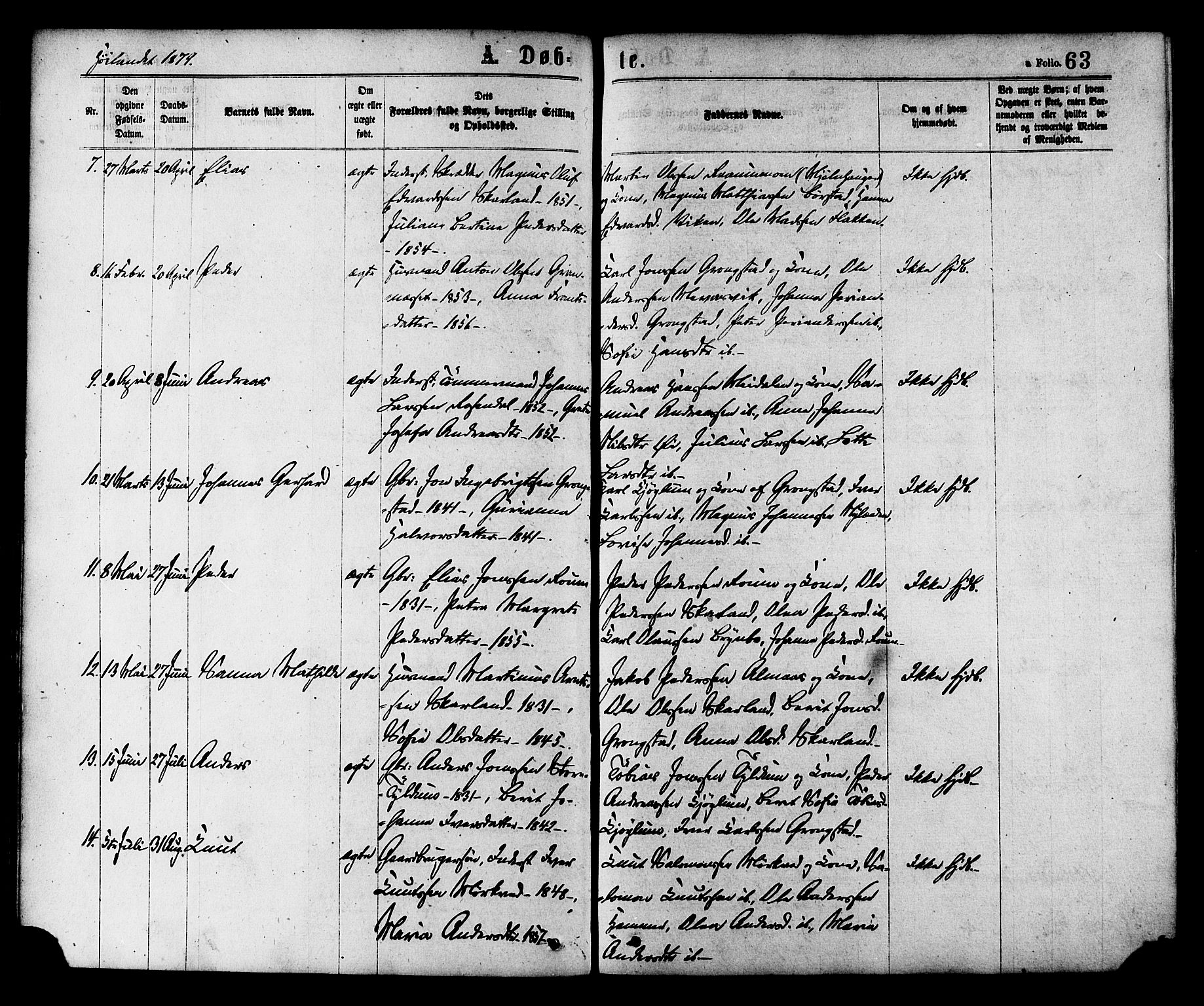 Ministerialprotokoller, klokkerbøker og fødselsregistre - Nord-Trøndelag, AV/SAT-A-1458/758/L0516: Parish register (official) no. 758A03 /2, 1869-1879, p. 63