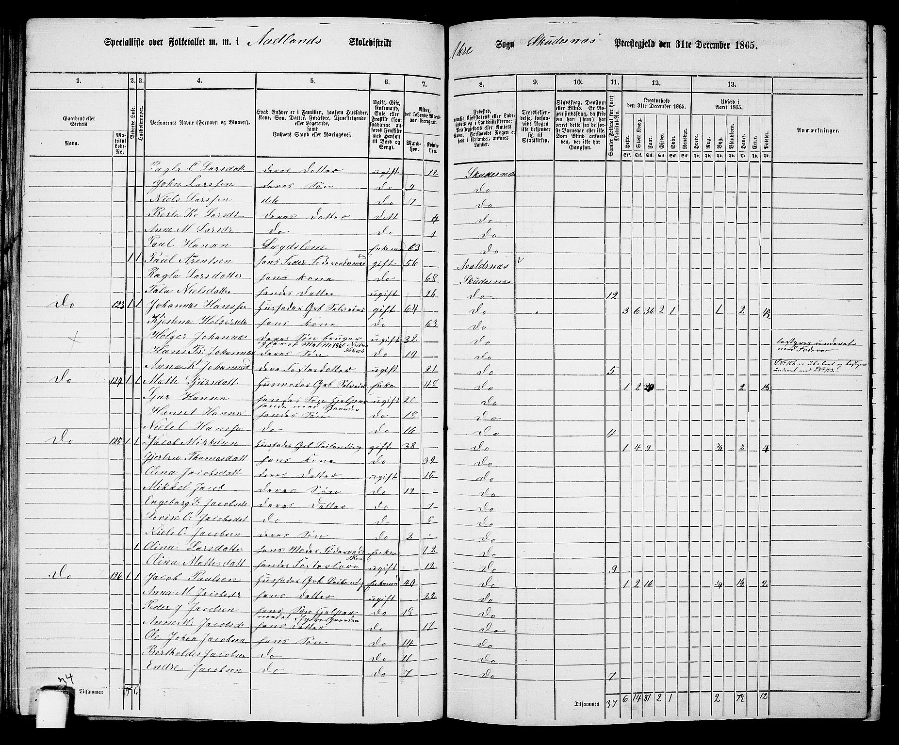 RA, 1865 census for Skudenes, 1865, p. 72