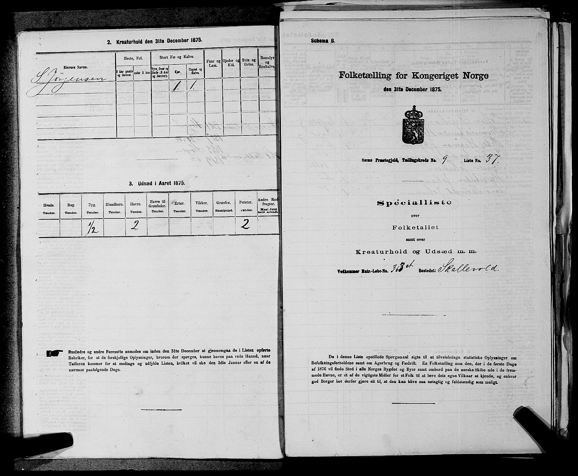 SAKO, 1875 census for 0721P Sem, 1875, p. 1502