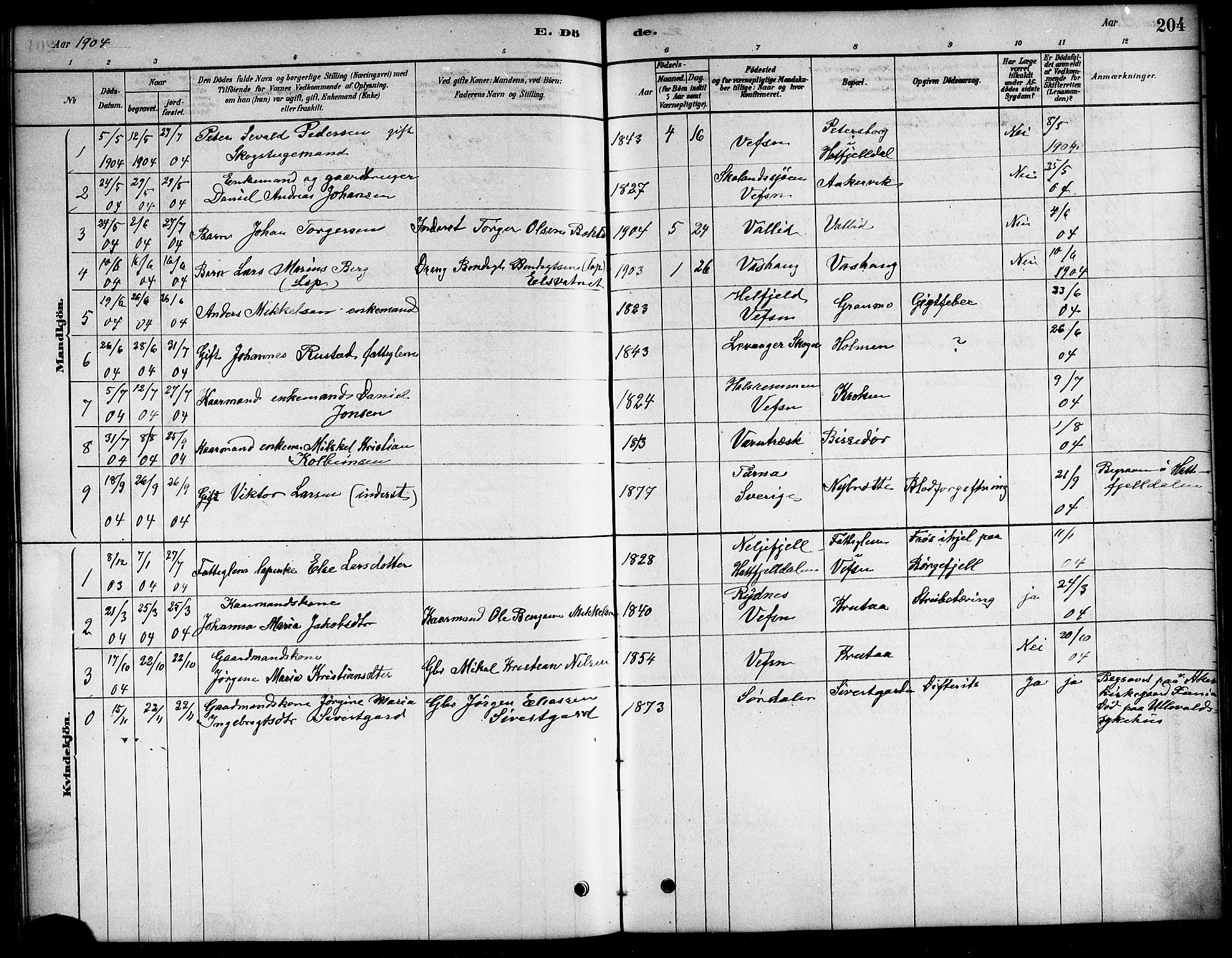 Ministerialprotokoller, klokkerbøker og fødselsregistre - Nordland, SAT/A-1459/823/L0330: Parish register (copy) no. 823C02, 1879-1916, p. 204