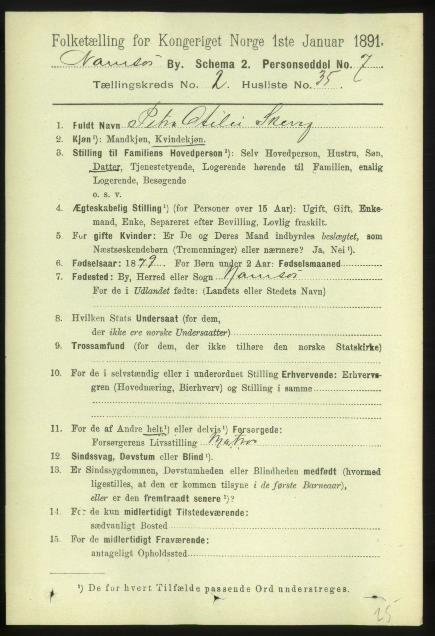 RA, 1891 census for 1703 Namsos, 1891, p. 908