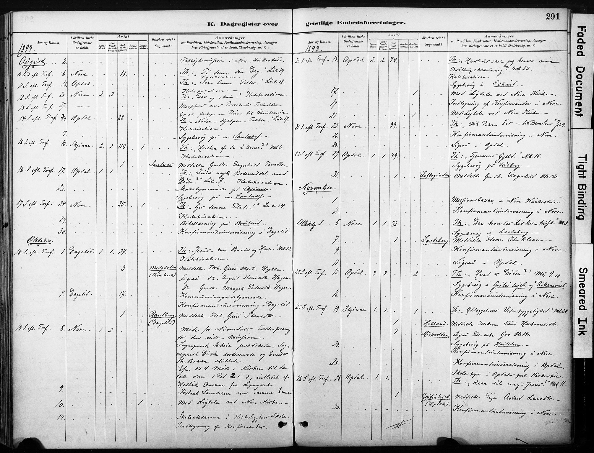 Nore kirkebøker, SAKO/A-238/F/Fb/L0002: Parish register (official) no. II 2, 1886-1906, p. 291
