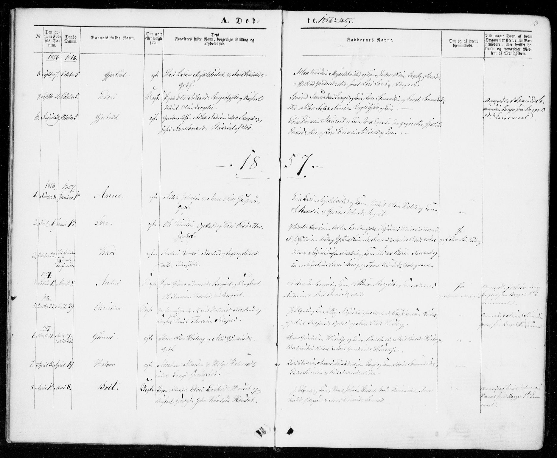 Ministerialprotokoller, klokkerbøker og fødselsregistre - Møre og Romsdal, SAT/A-1454/554/L0643: Parish register (official) no. 554A01, 1846-1879, p. 13