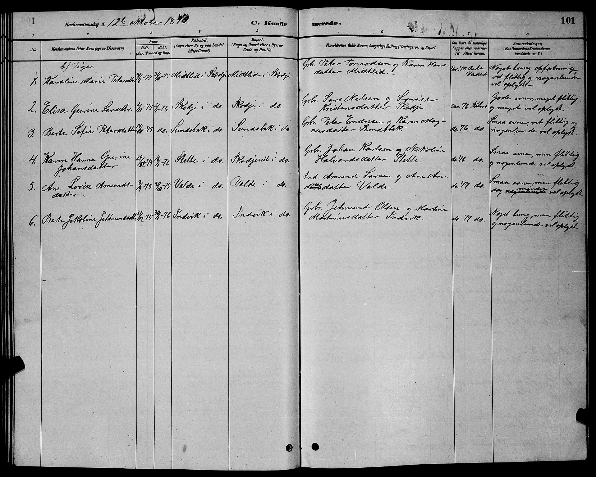 Ministerialprotokoller, klokkerbøker og fødselsregistre - Møre og Romsdal, AV/SAT-A-1454/524/L0365: Parish register (copy) no. 524C06, 1880-1899, p. 101