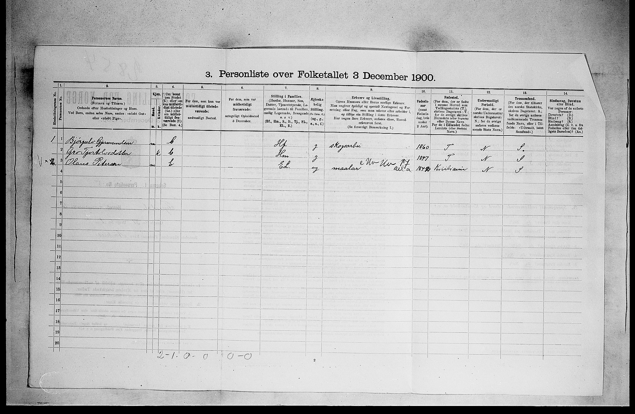 RA, 1900 census for Fyresdal, 1900, p. 310