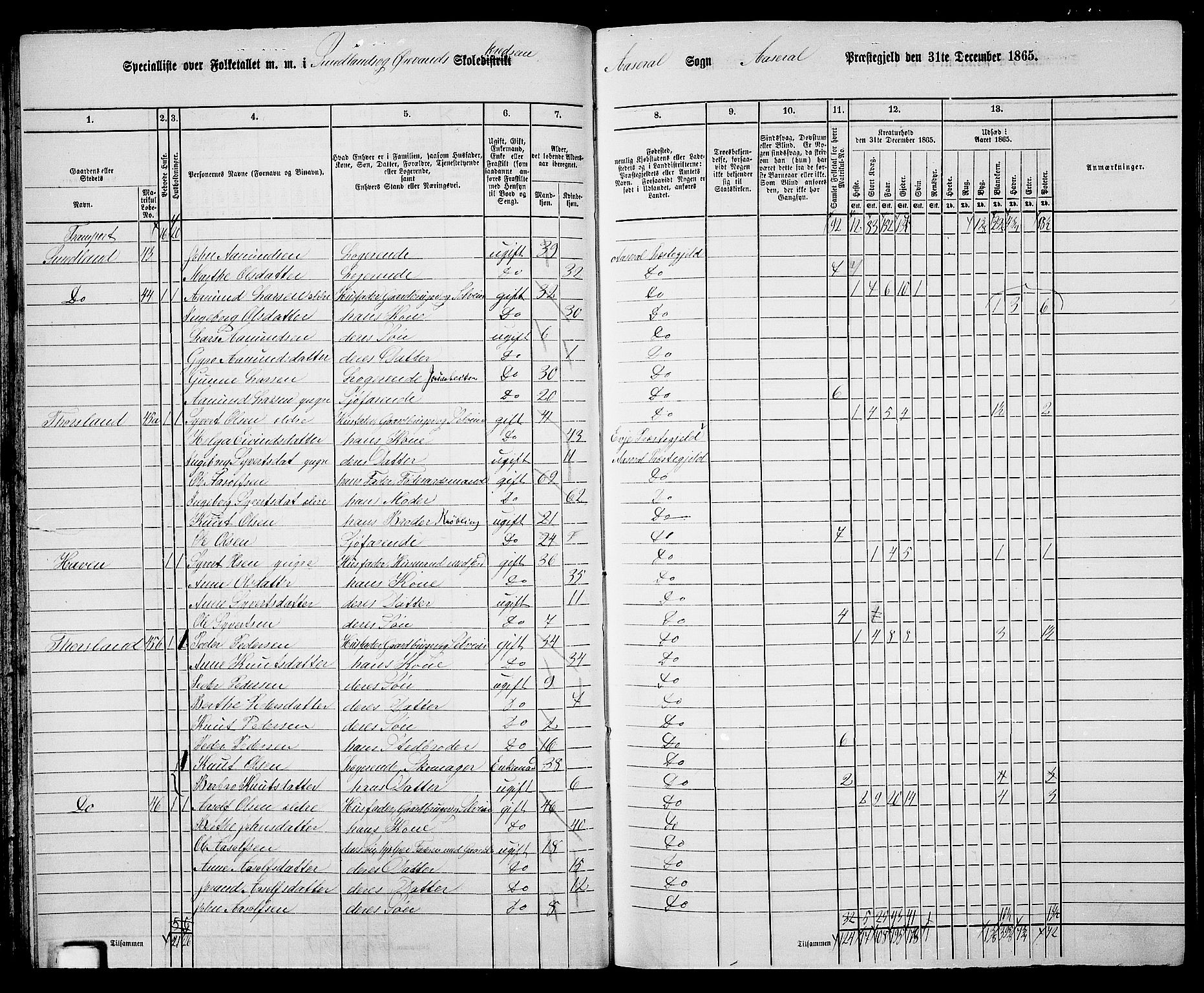 RA, 1865 census for Åseral, 1865, p. 48