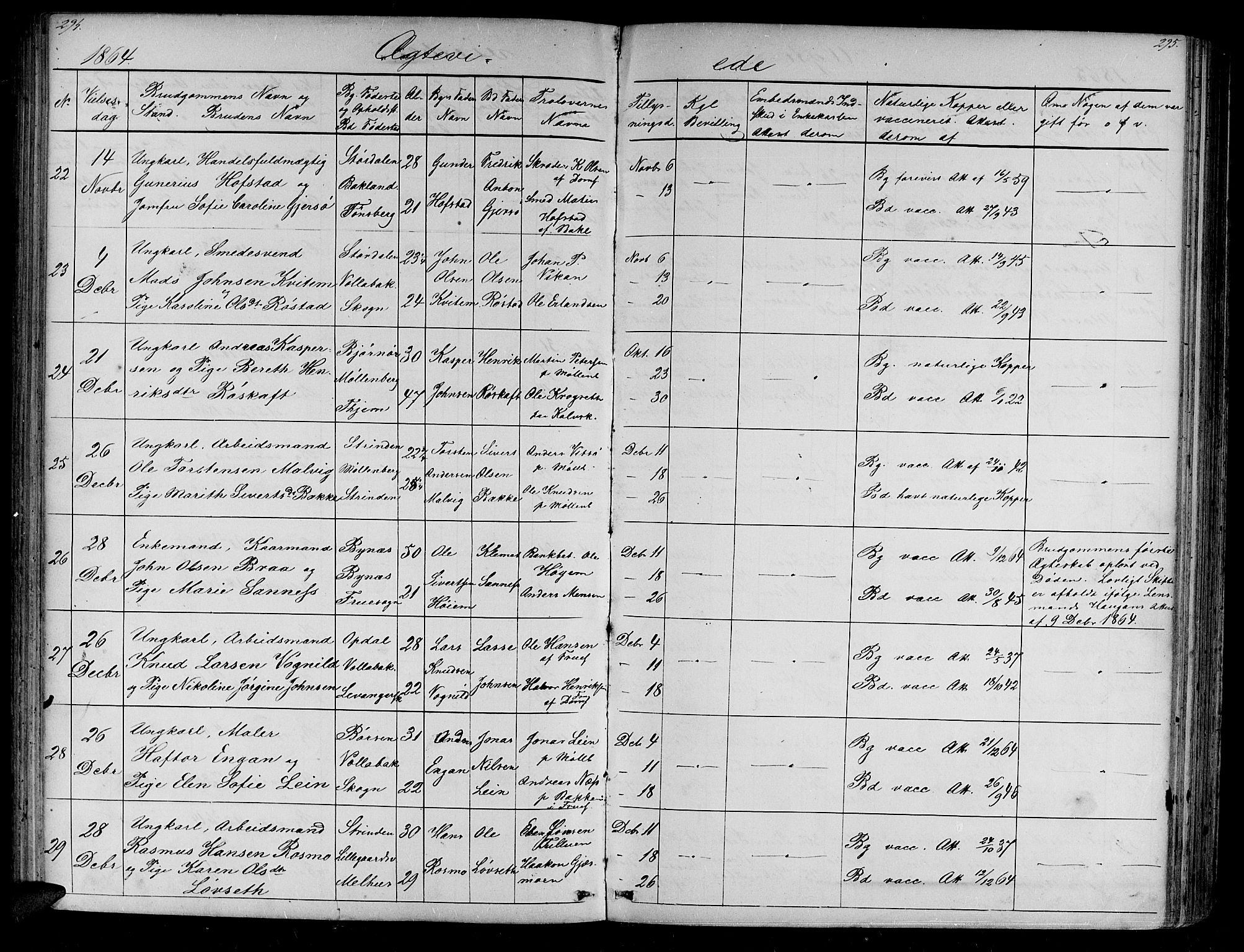 Ministerialprotokoller, klokkerbøker og fødselsregistre - Sør-Trøndelag, SAT/A-1456/604/L0219: Parish register (copy) no. 604C02, 1851-1869, p. 294-295