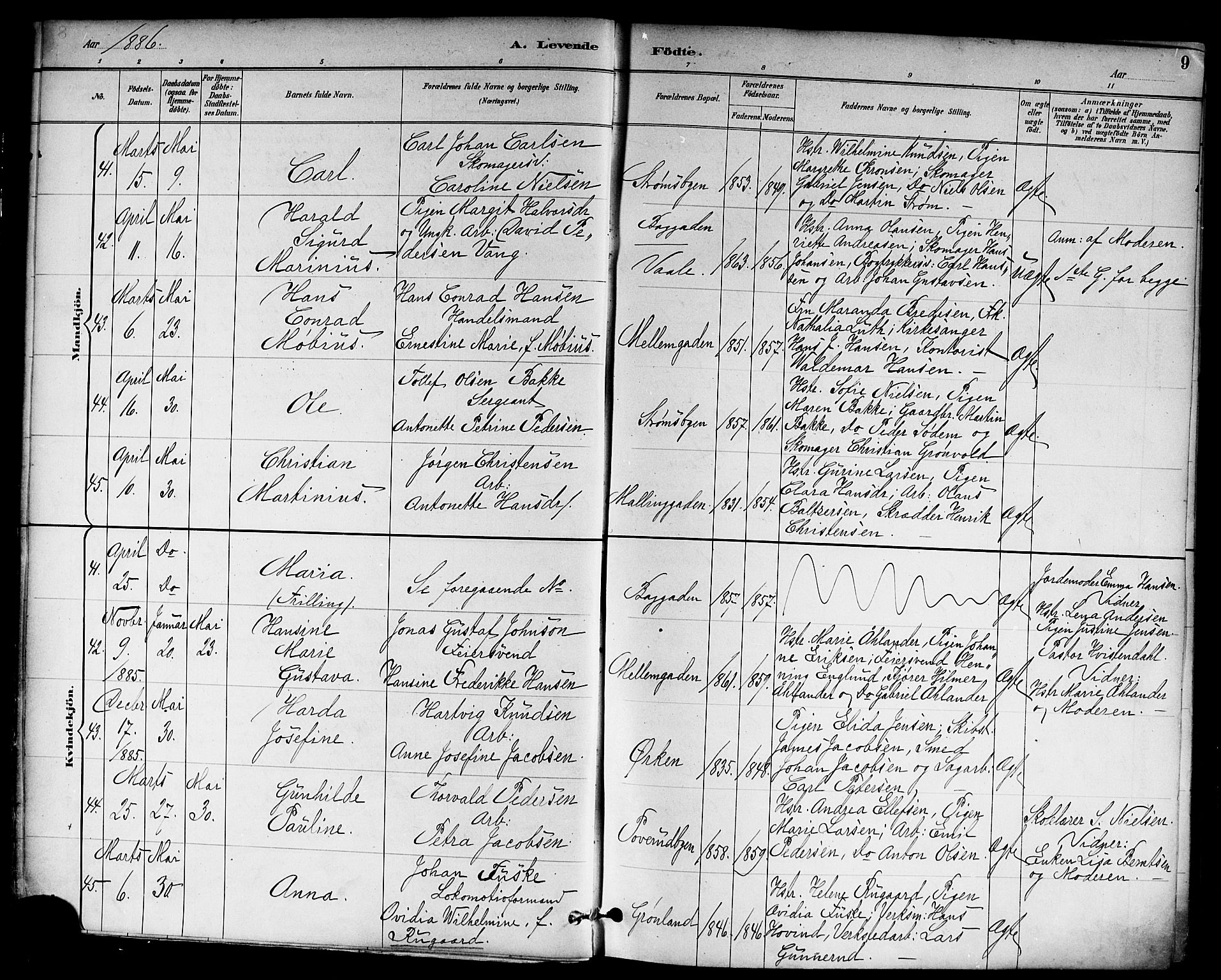 Strømsø kirkebøker, AV/SAKO-A-246/F/Fa/L0023: Parish register (official) no. I 23, 1885-1894, p. 9