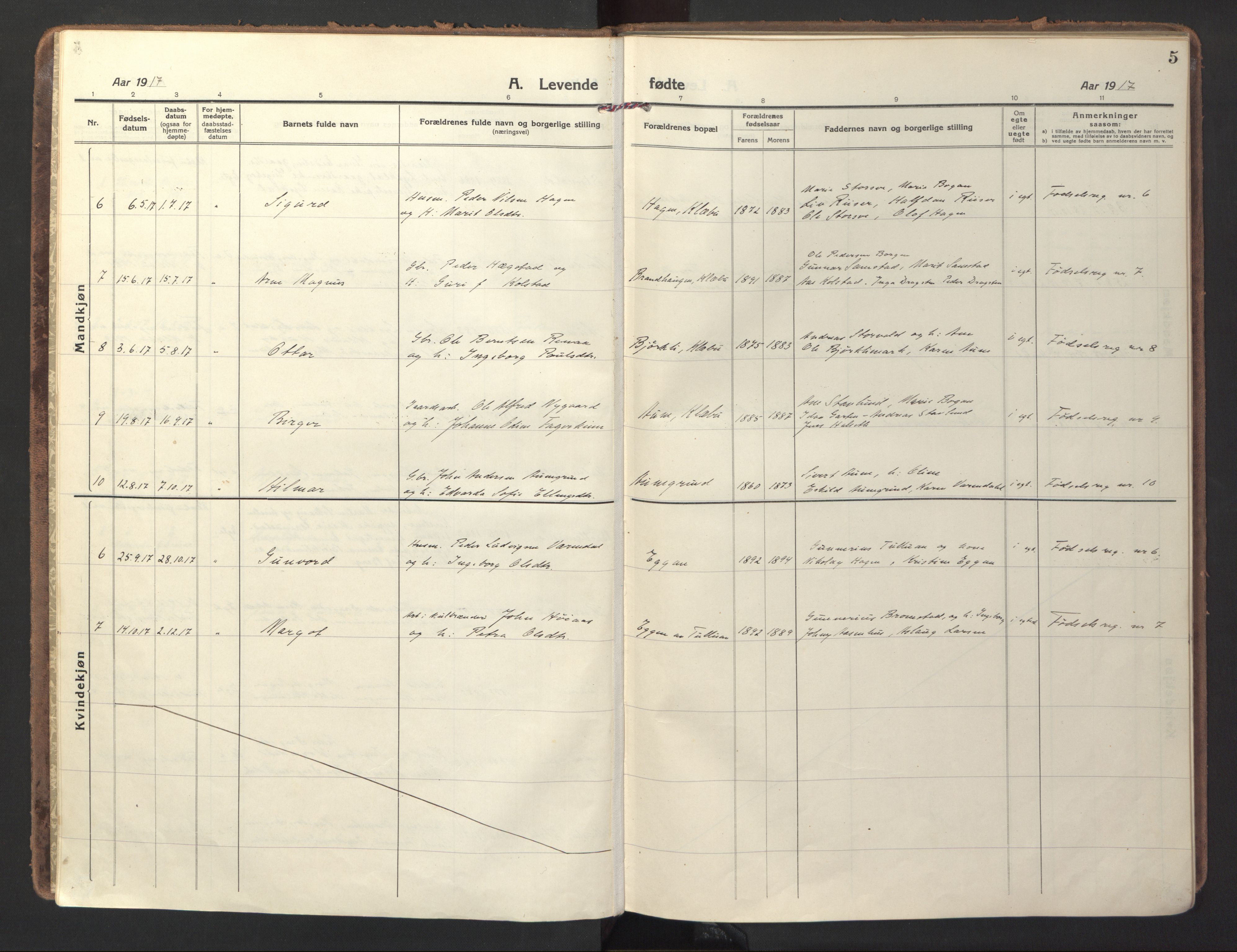 Ministerialprotokoller, klokkerbøker og fødselsregistre - Sør-Trøndelag, SAT/A-1456/618/L0449: Parish register (official) no. 618A12, 1917-1924, p. 5