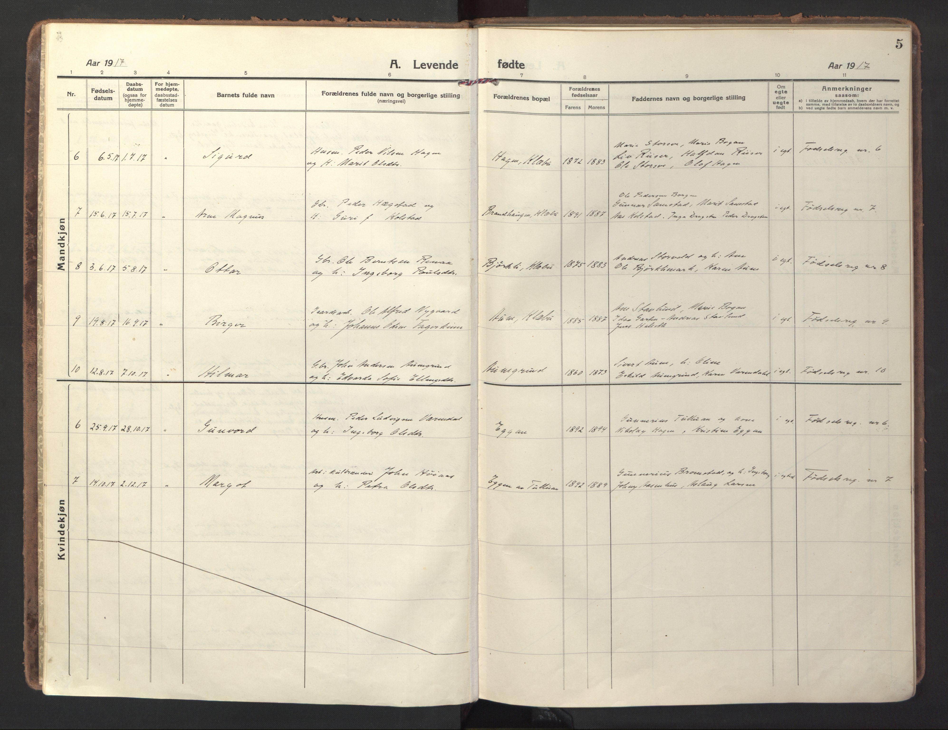 Ministerialprotokoller, klokkerbøker og fødselsregistre - Sør-Trøndelag, AV/SAT-A-1456/618/L0449: Parish register (official) no. 618A12, 1917-1924, p. 5