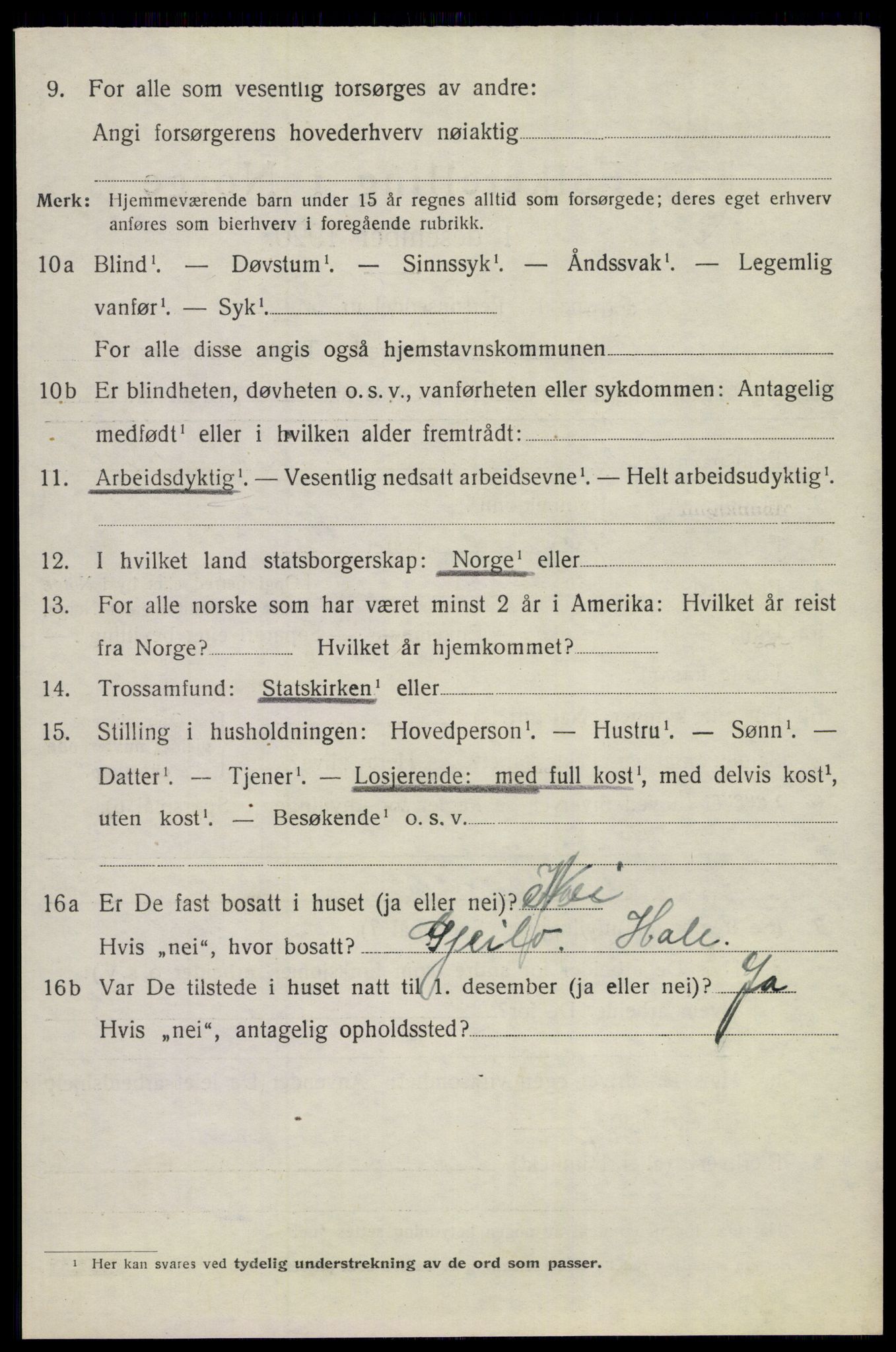 SAKO, 1920 census for Nes (Buskerud), 1920, p. 4351