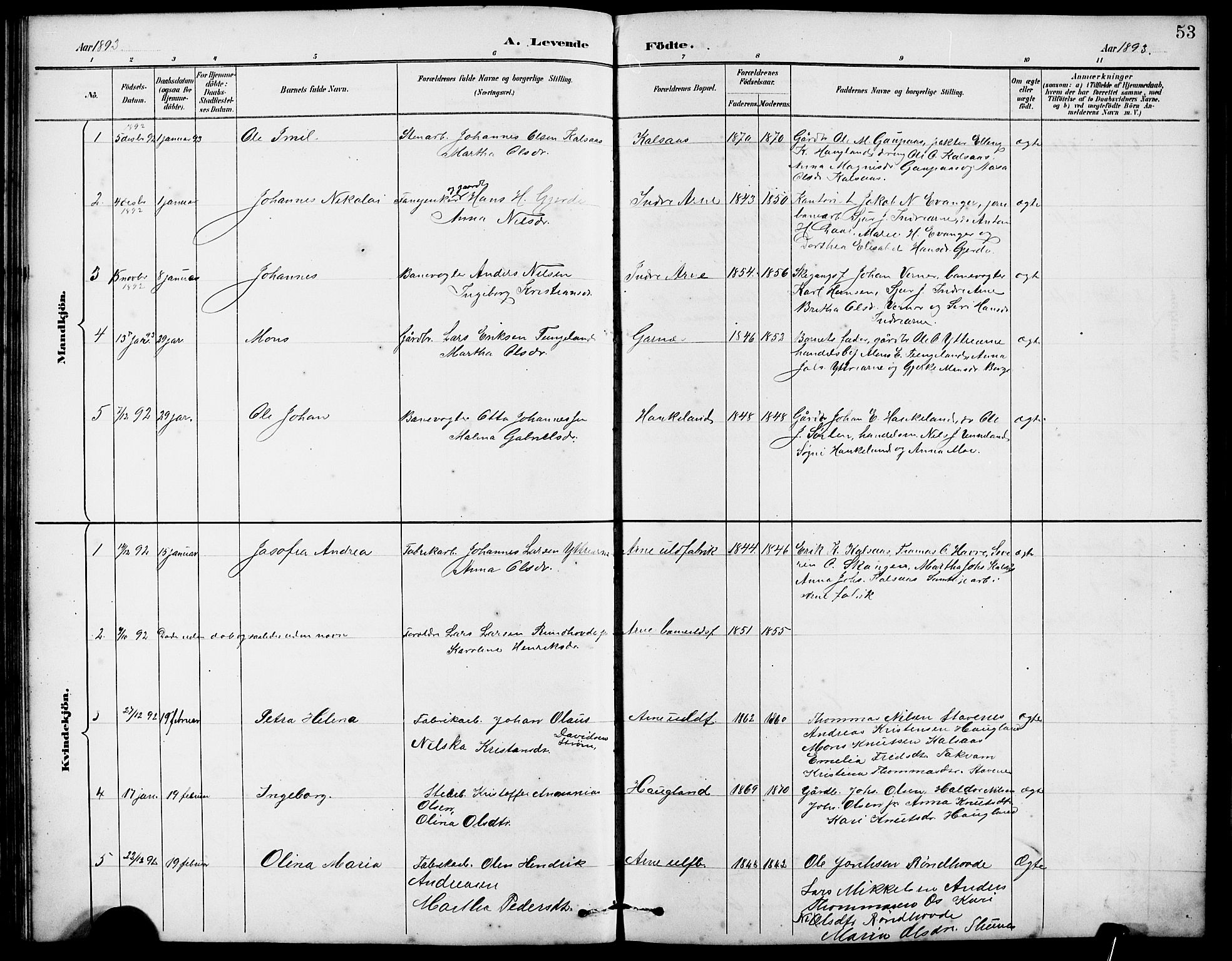Arna Sokneprestembete, SAB/A-74001/H/Ha/Hab: Parish register (copy) no. A 3, 1887-1897, p. 53
