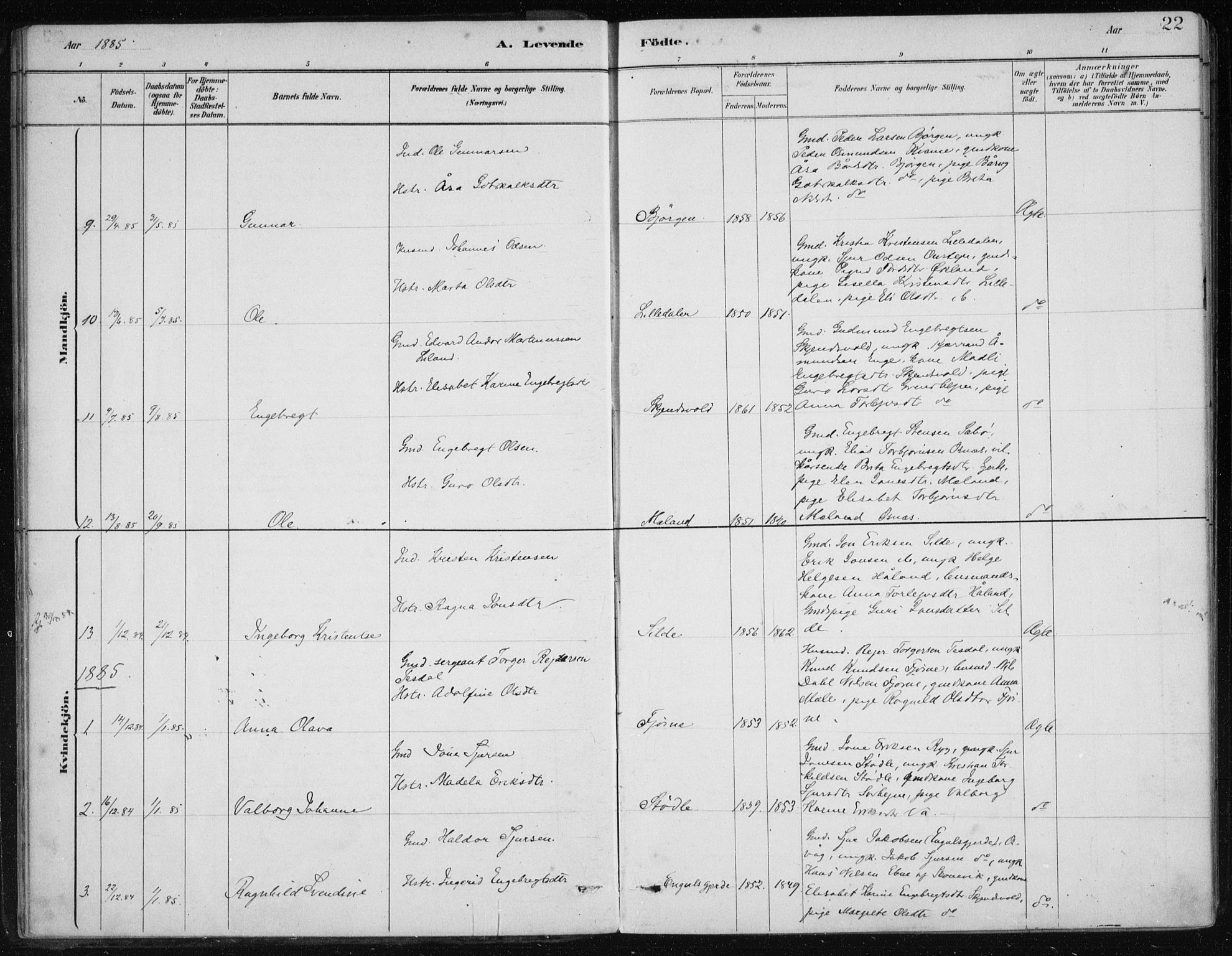 Etne sokneprestembete, AV/SAB-A-75001/H/Haa: Parish register (official) no. C  1, 1879-1919, p. 22