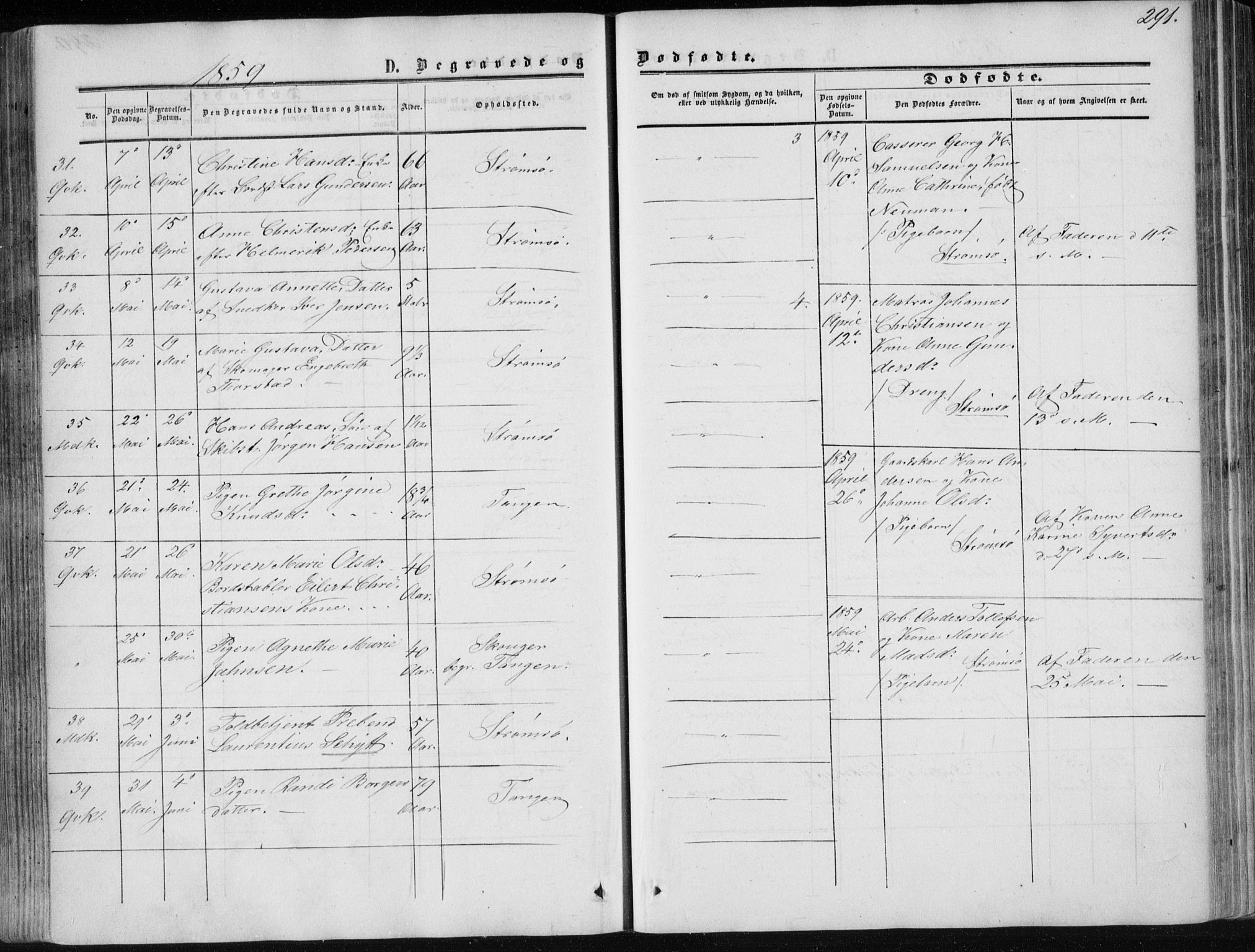 Strømsø kirkebøker, AV/SAKO-A-246/F/Fa/L0015: Parish register (official) no. I 15, 1859-1868, p. 291