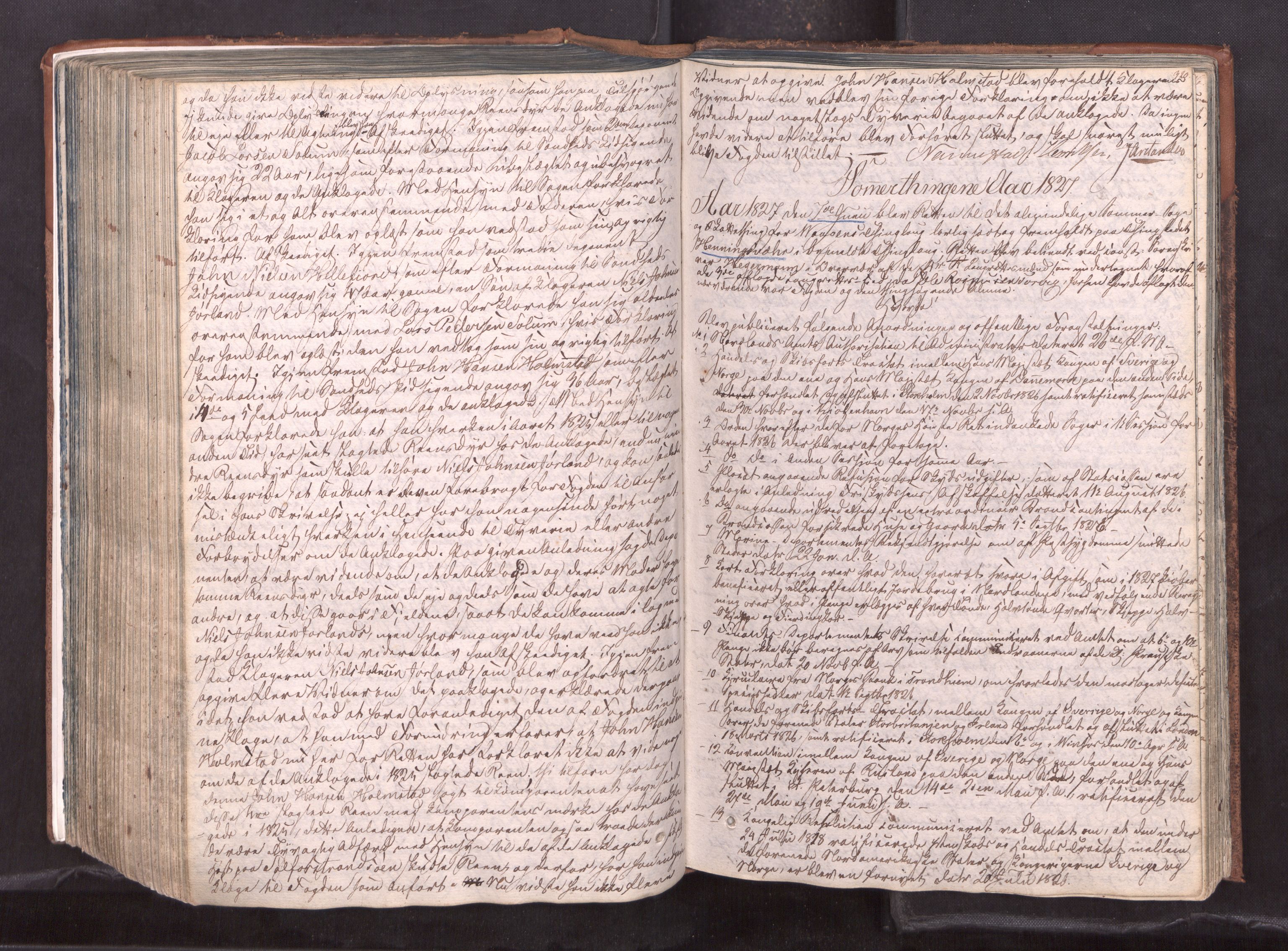 Vesterålen sorenskriveri, AV/SAT-A-4180/1/1/1A/L0018: Tingbok, 1820-1832, p. 319b-320a