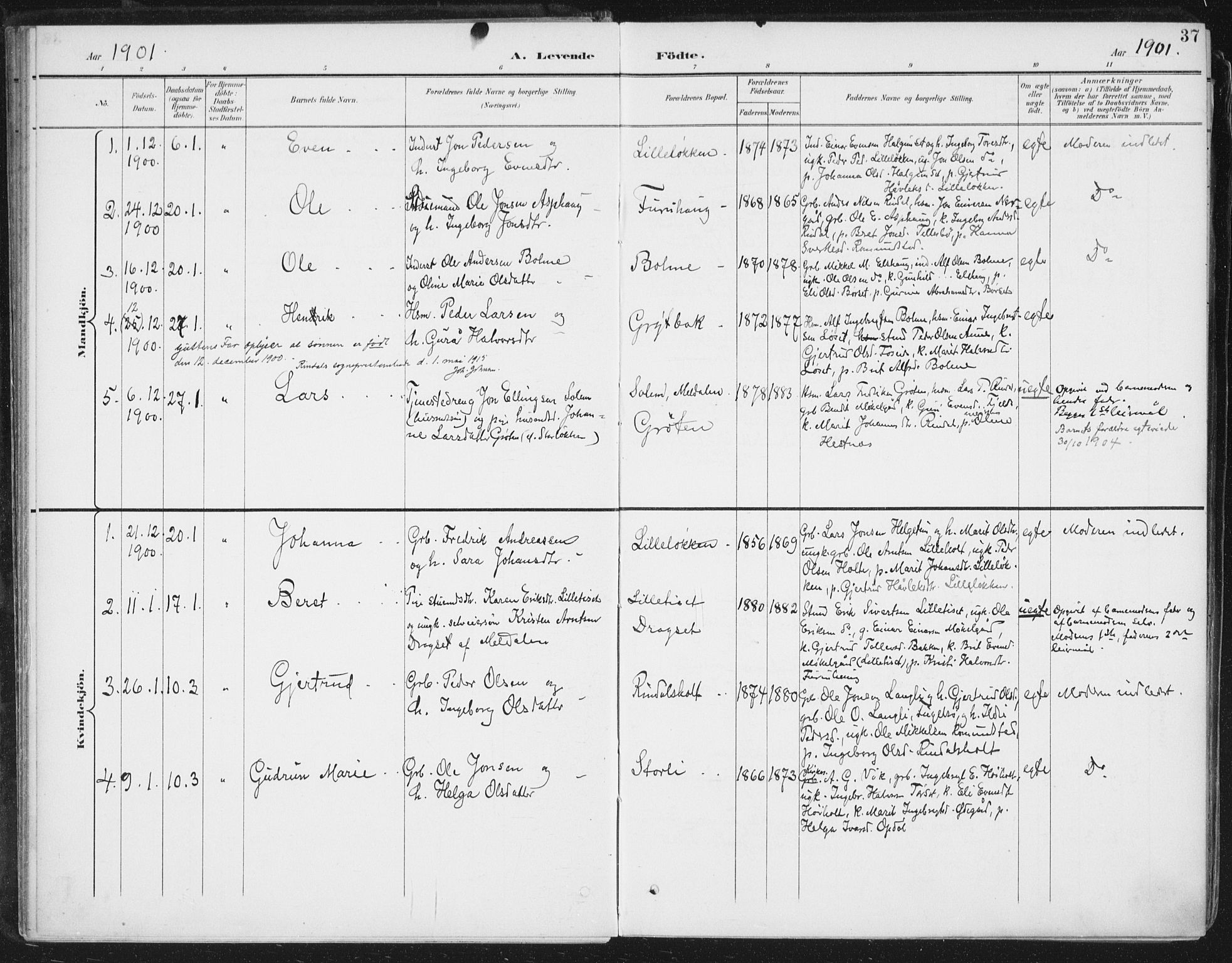 Ministerialprotokoller, klokkerbøker og fødselsregistre - Møre og Romsdal, SAT/A-1454/598/L1072: Parish register (official) no. 598A06, 1896-1910, p. 37