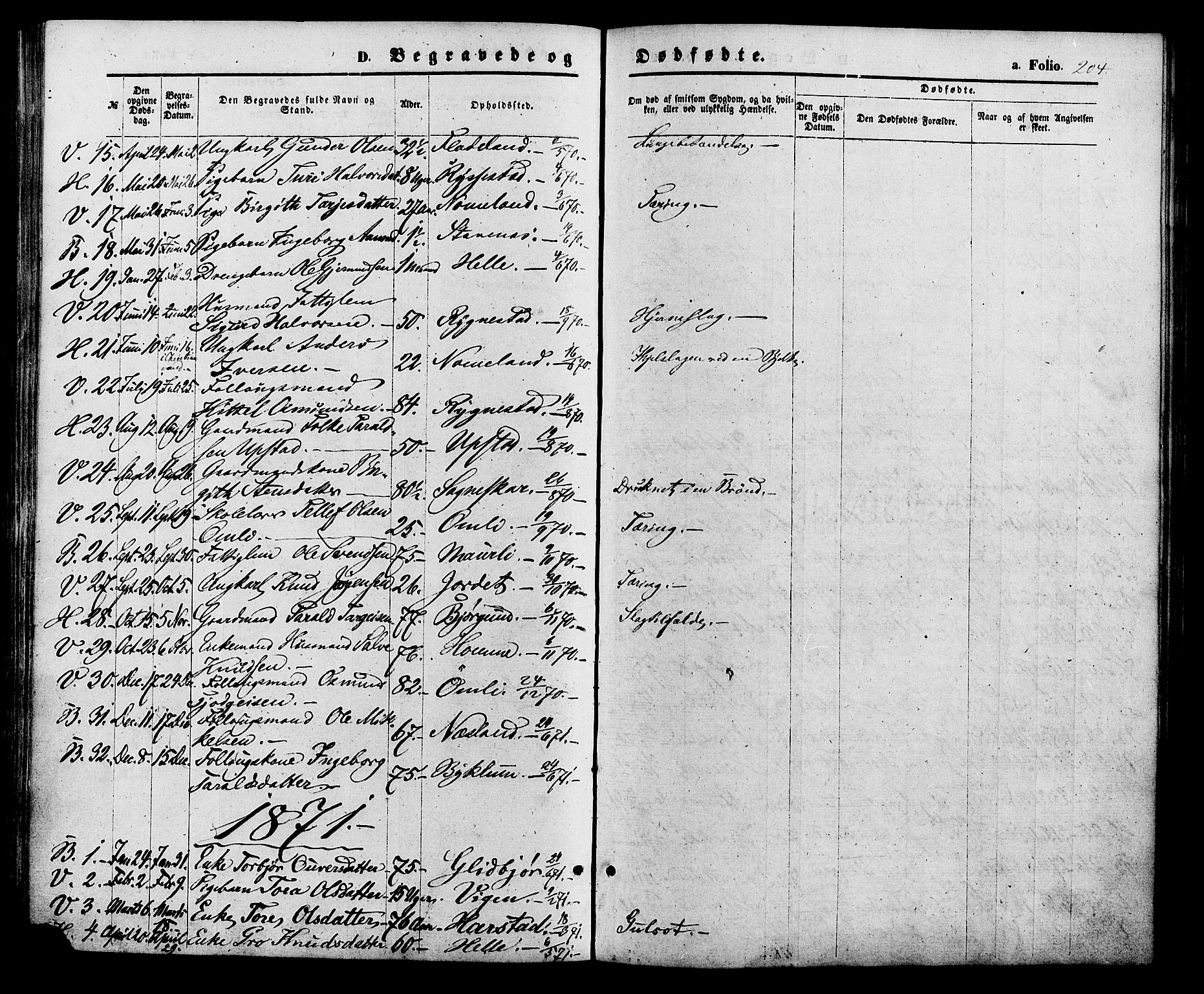 Valle sokneprestkontor, AV/SAK-1111-0044/F/Fa/Fac/L0008: Parish register (official) no. A 8, 1868-1882, p. 204