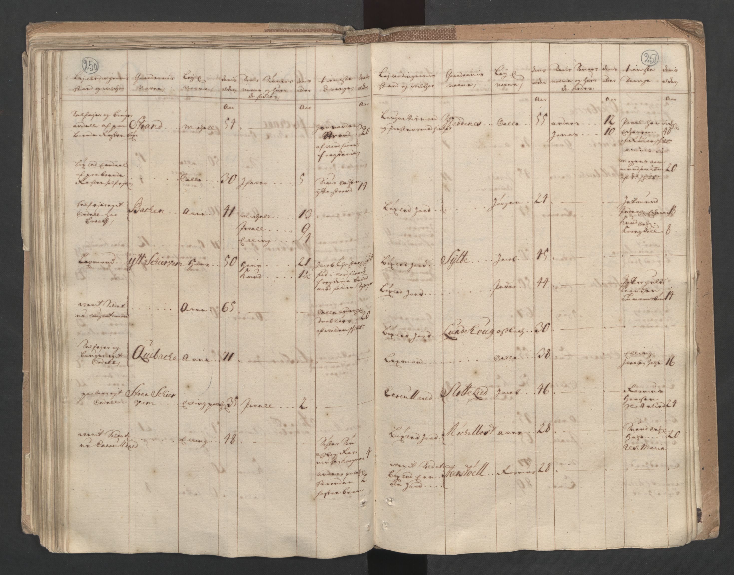 RA, Census (manntall) 1701, no. 10: Sunnmøre fogderi, 1701, p. 250-251