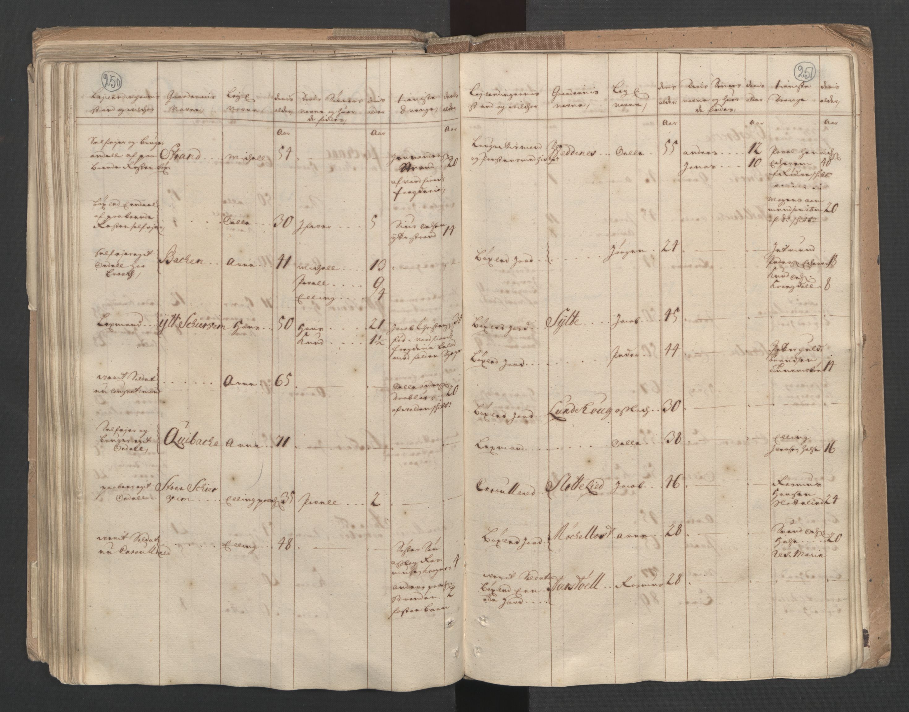 RA, Census (manntall) 1701, no. 10: Sunnmøre fogderi, 1701, p. 250-251