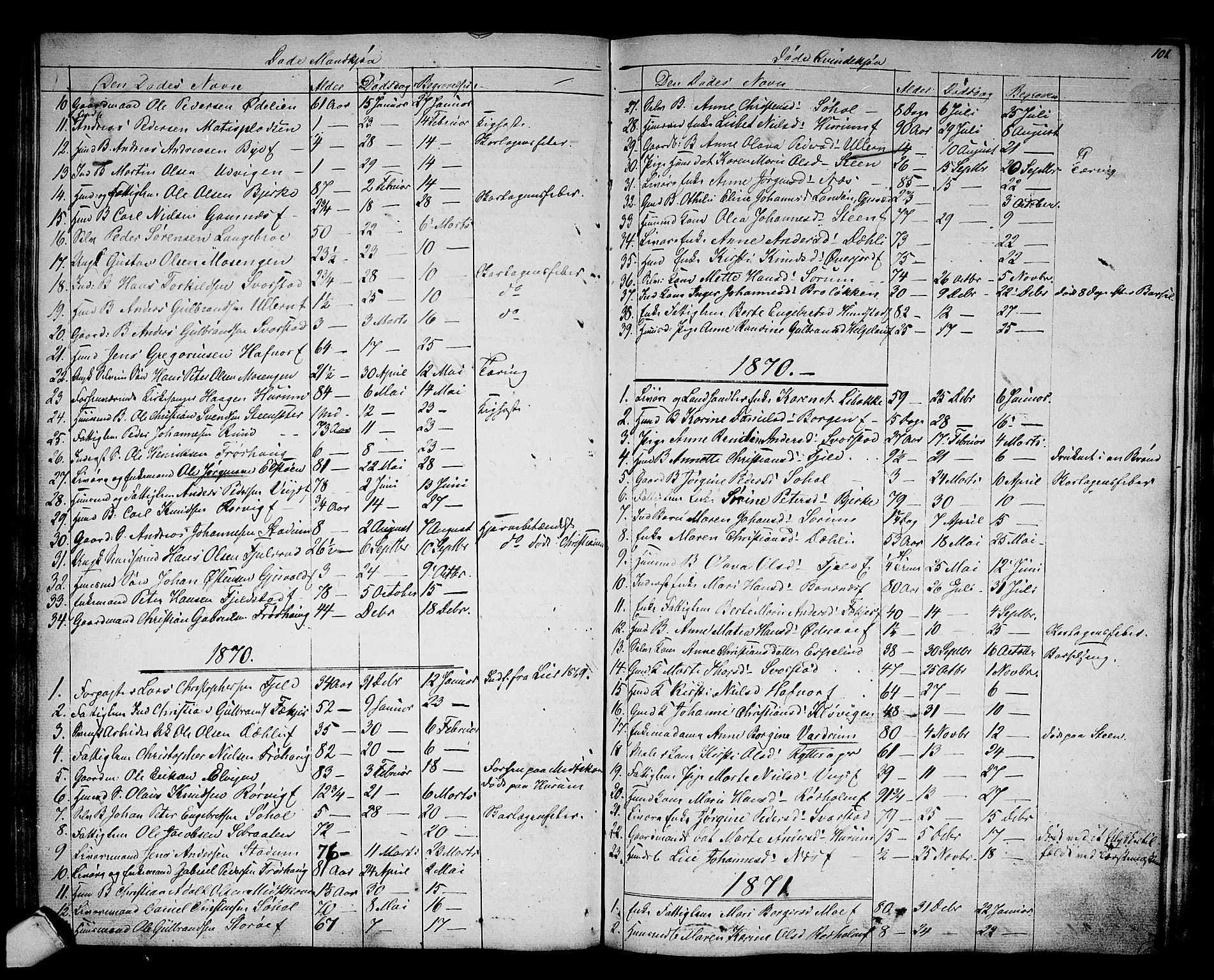 Hole kirkebøker, AV/SAKO-A-228/G/Ga/L0002: Parish register (copy) no. I 2, 1842-1878, p. 101