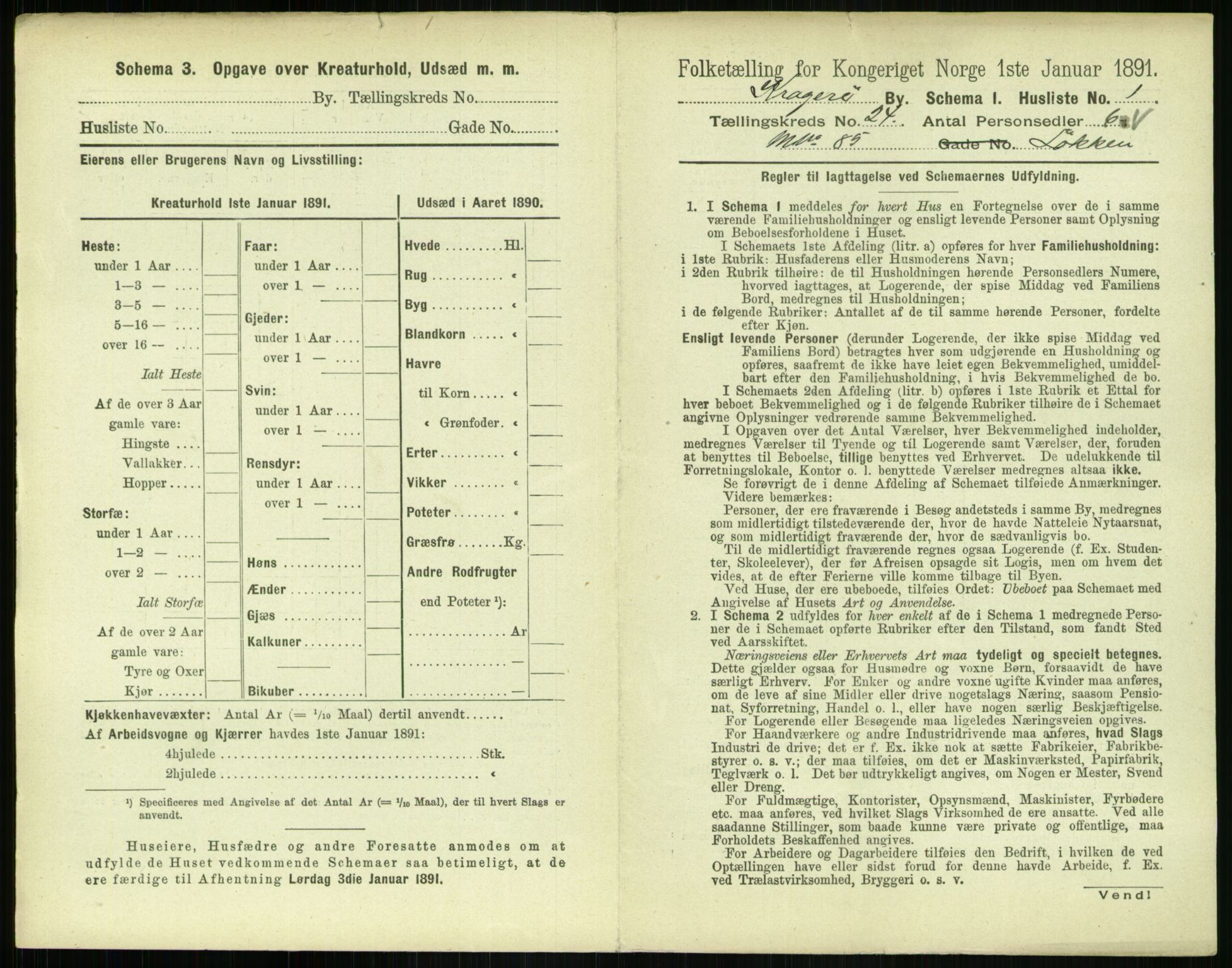 RA, 1891 census for 0801 Kragerø, 1891, p. 904