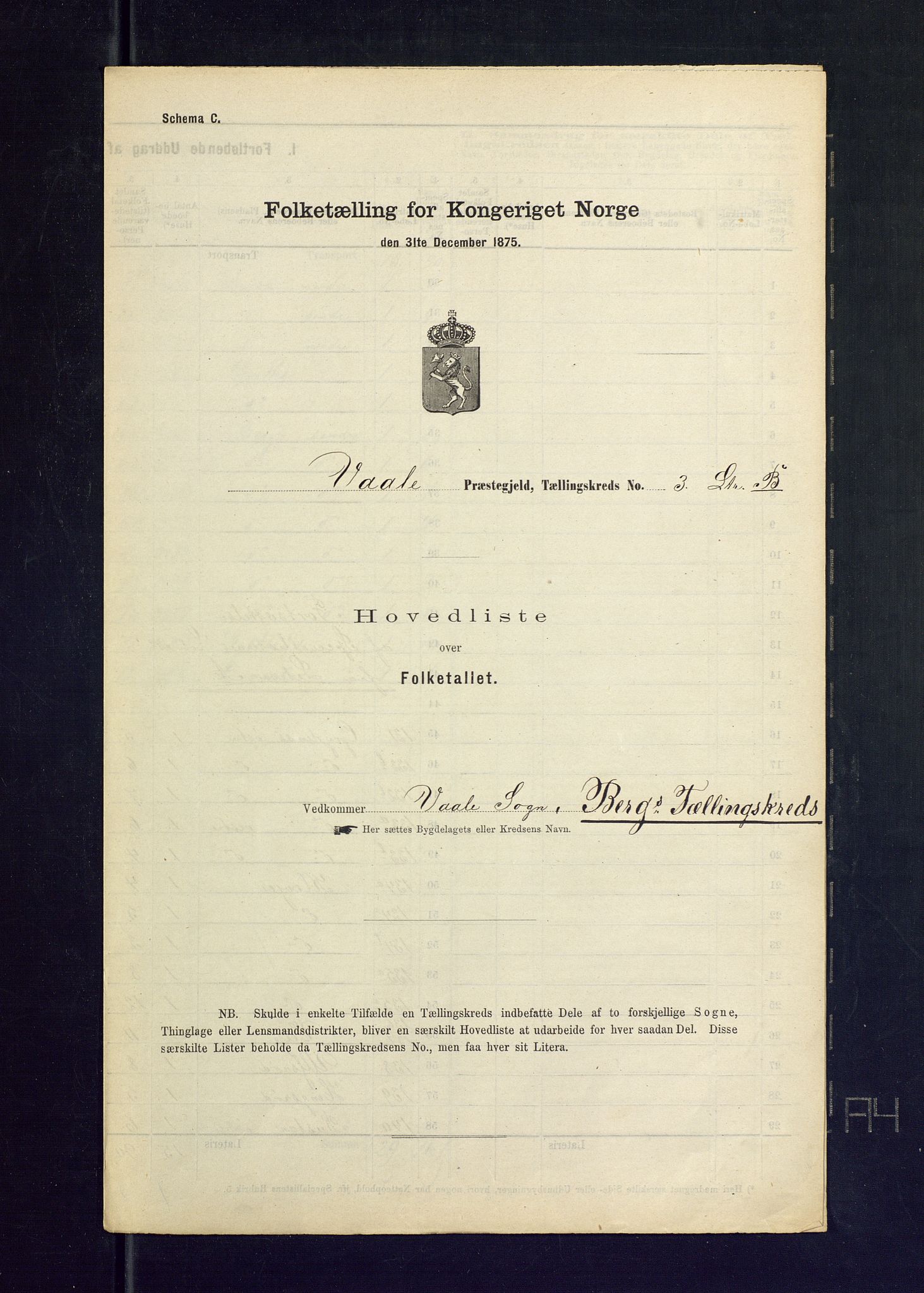 SAKO, 1875 census for 0716P Våle, 1875, p. 13