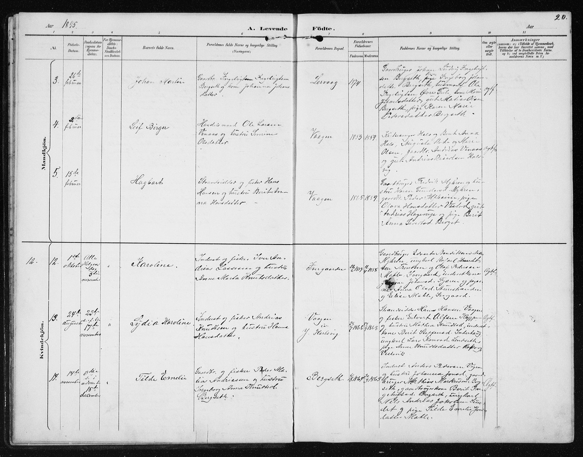 Ministerialprotokoller, klokkerbøker og fødselsregistre - Møre og Romsdal, AV/SAT-A-1454/566/L0773: Parish register (copy) no. 566C02, 1892-1909, p. 20