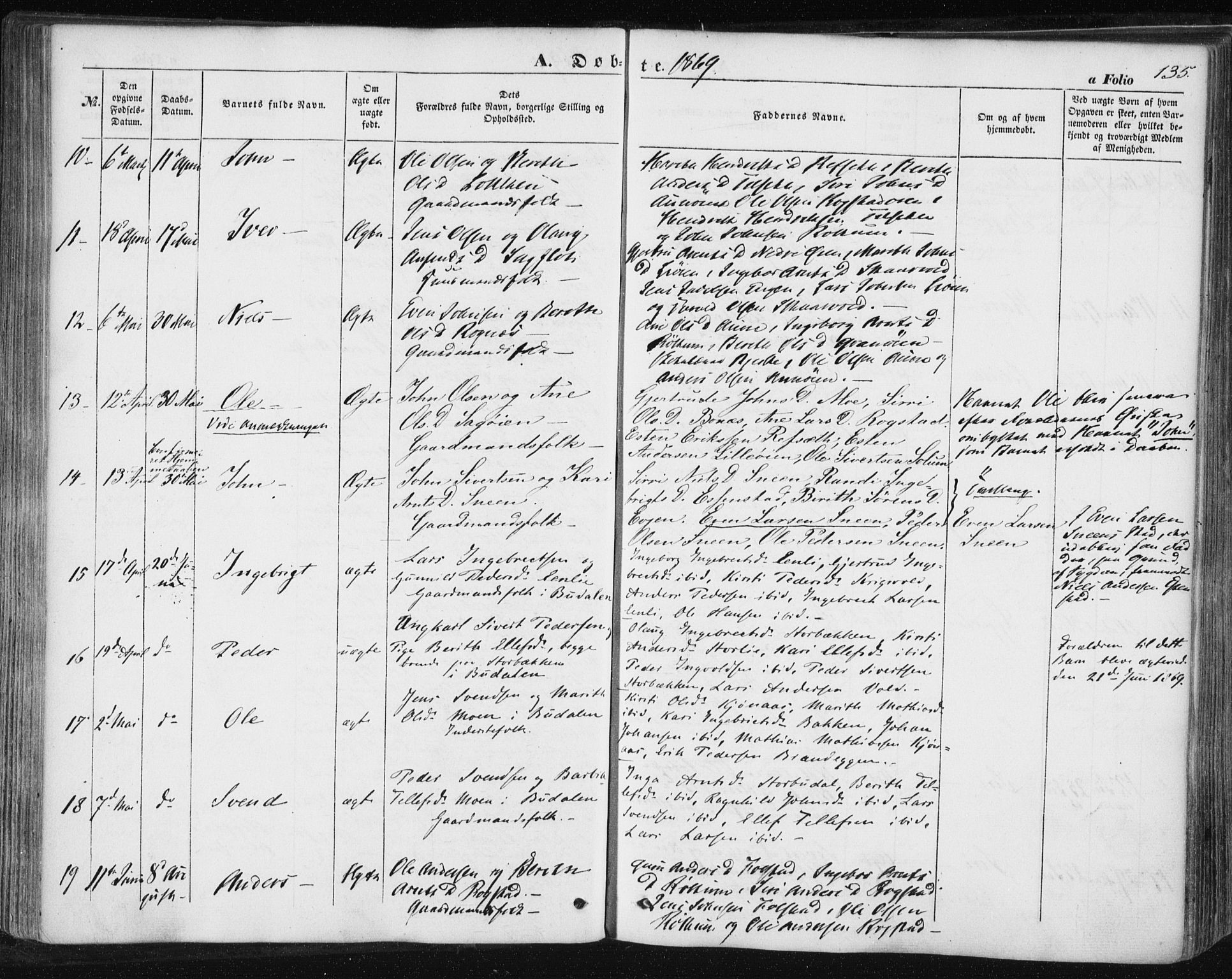 Ministerialprotokoller, klokkerbøker og fødselsregistre - Sør-Trøndelag, AV/SAT-A-1456/687/L1000: Parish register (official) no. 687A06, 1848-1869, p. 135