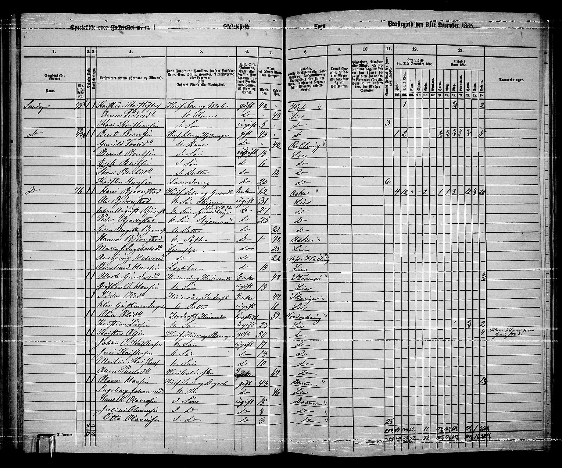 RA, 1865 census for Lier, 1865, p. 50