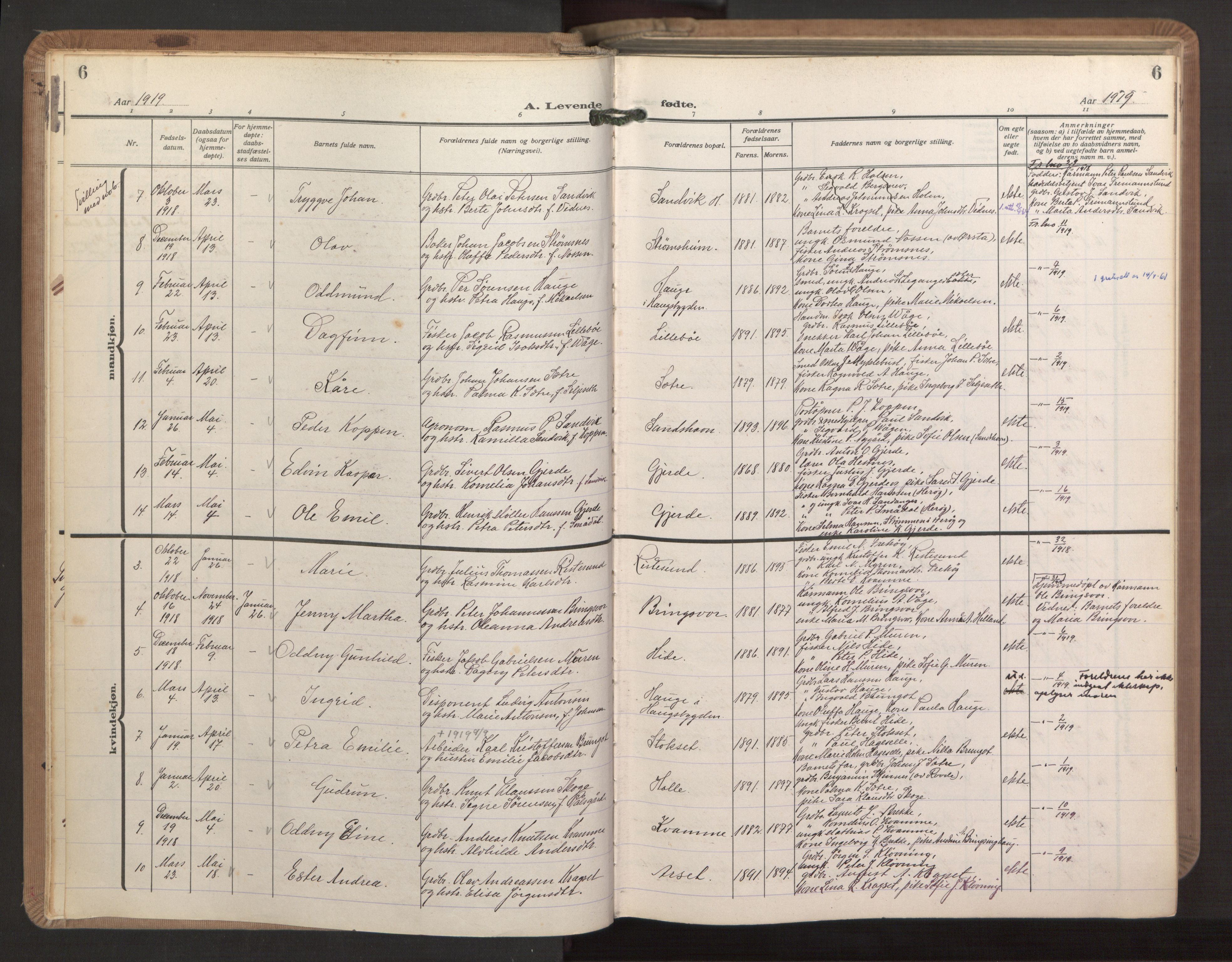 Ministerialprotokoller, klokkerbøker og fødselsregistre - Møre og Romsdal, AV/SAT-A-1454/503/L0044: Parish register (official) no. 503A12, 1918-1931, p. 6