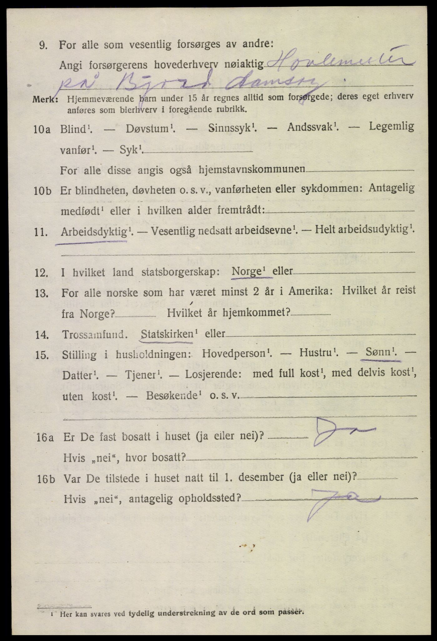 SAK, 1920 census for Hornnes, 1920, p. 578