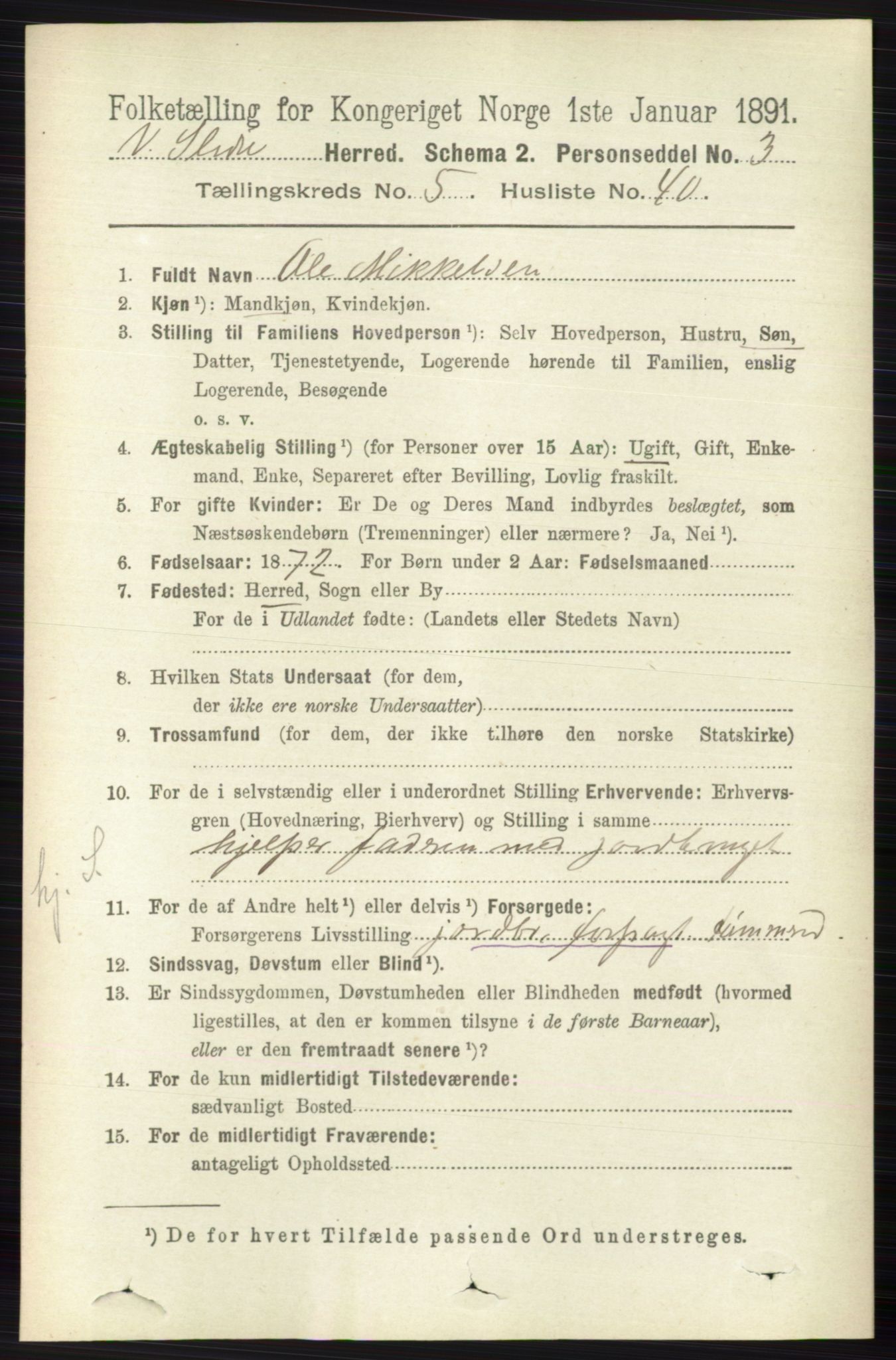 RA, 1891 census for 0543 Vestre Slidre, 1891, p. 1962