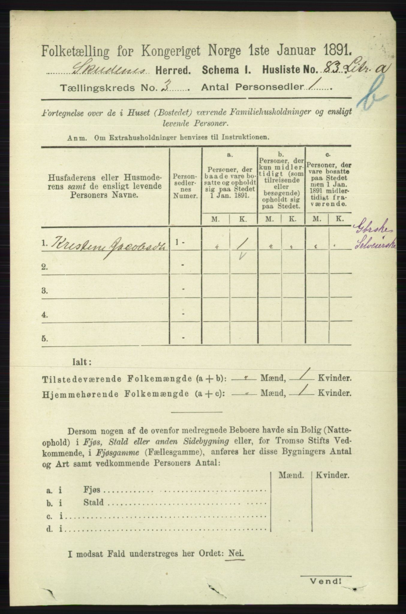 RA, 1891 census for 1150 Skudenes, 1891, p. 3994