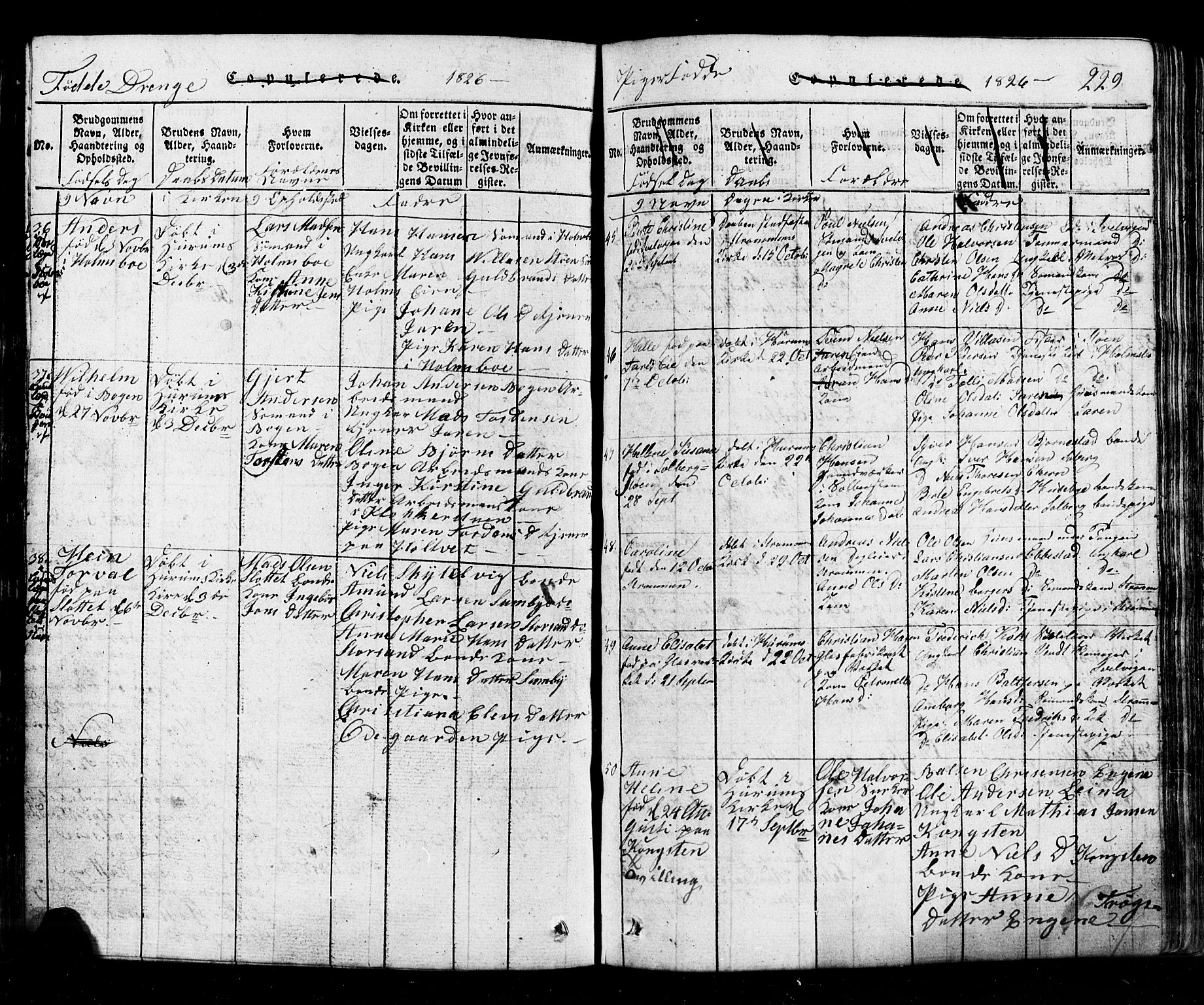 Hurum kirkebøker, AV/SAKO-A-229/G/Ga/L0001: Parish register (copy) no. I 1, 1816-1826, p. 229