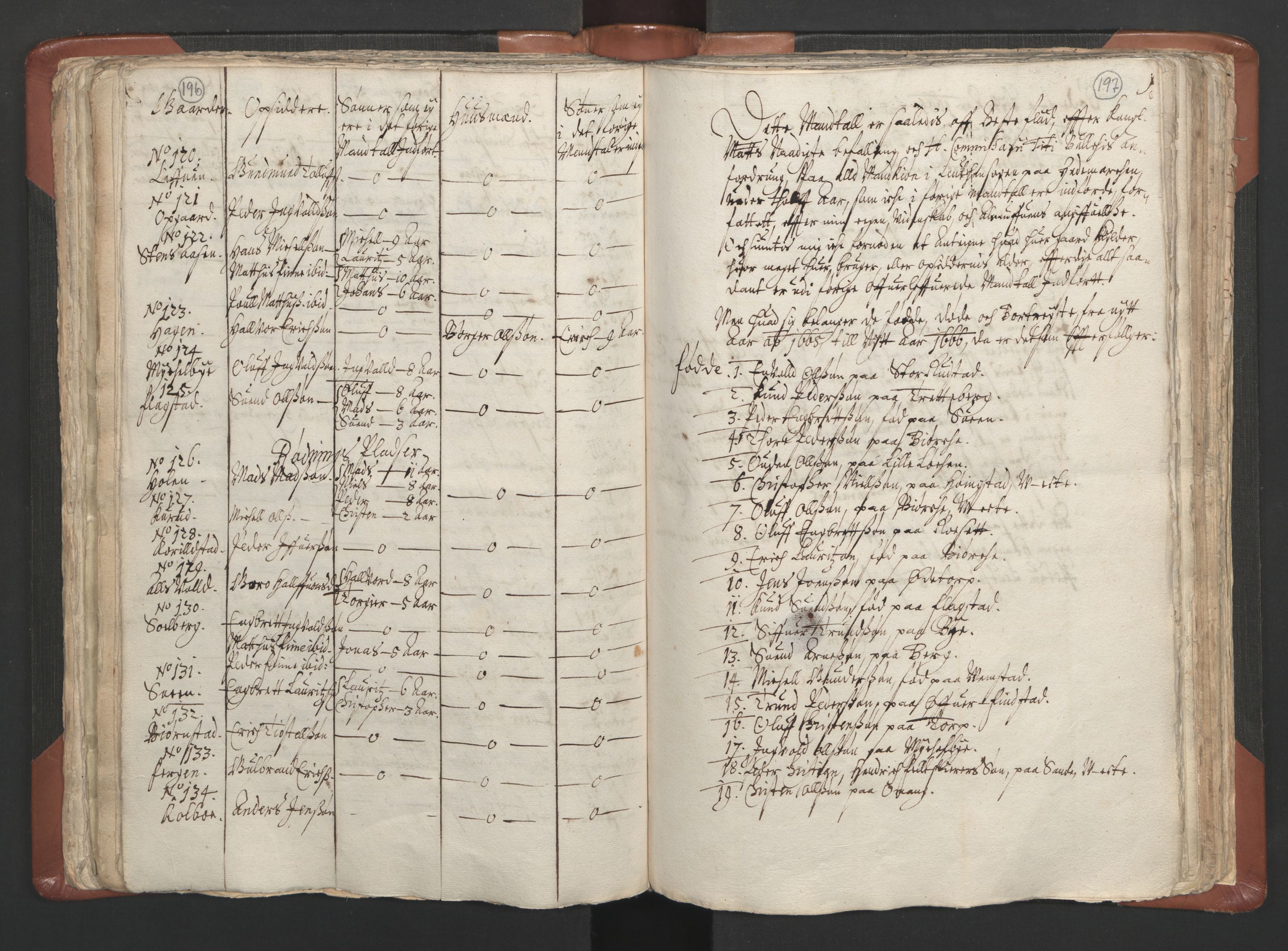 RA, Vicar's Census 1664-1666, no. 5: Hedmark deanery, 1664-1666, p. 196-197