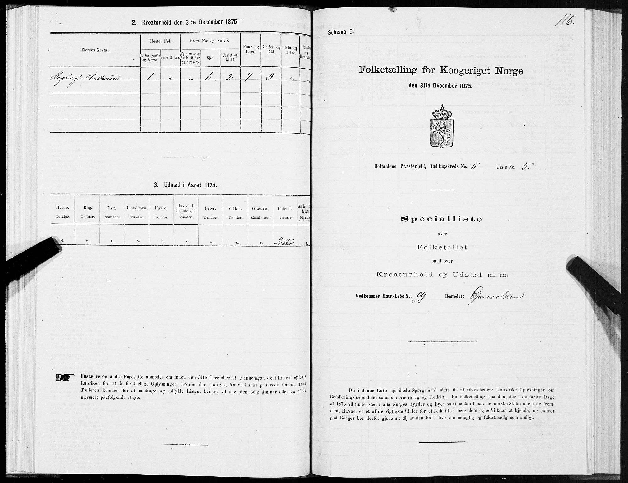 SAT, 1875 census for 1645P Haltdalen, 1875, p. 5116