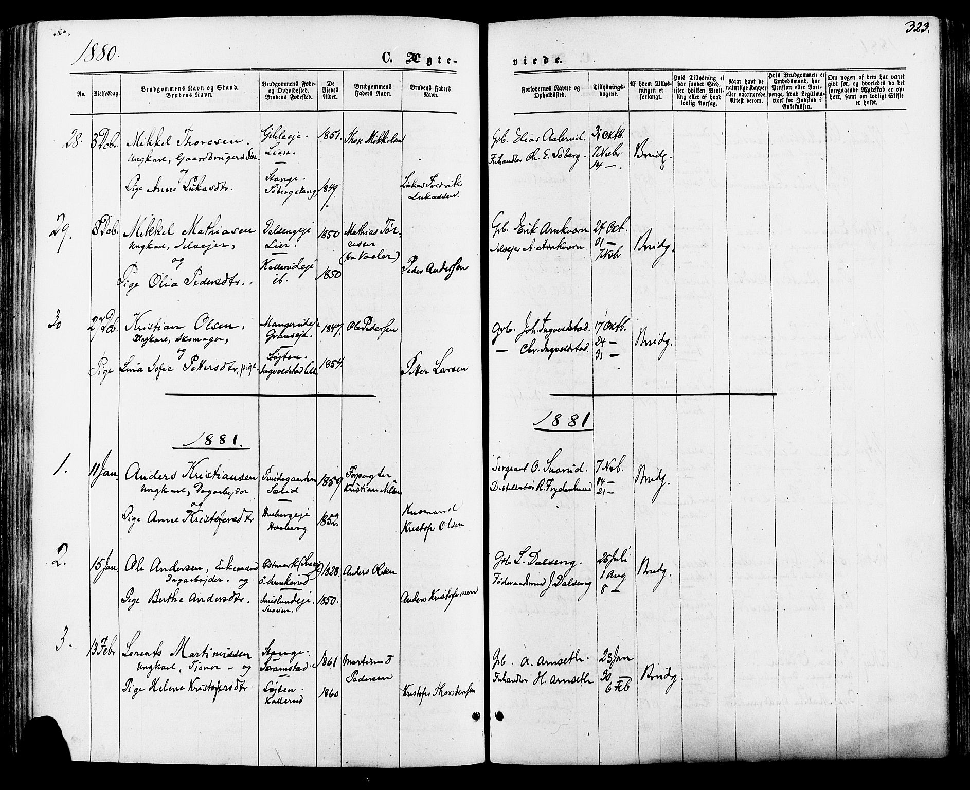 Vang prestekontor, Hedmark, AV/SAH-PREST-008/H/Ha/Haa/L0015: Parish register (official) no. 15, 1871-1885, p. 323