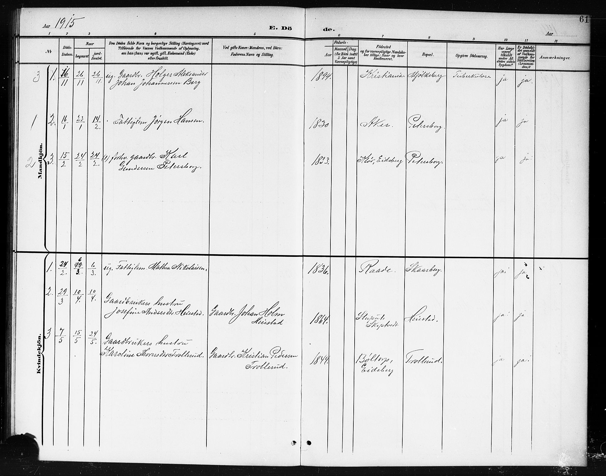 Spydeberg prestekontor Kirkebøker, AV/SAO-A-10924/G/Gc/L0001: Parish register (copy) no. III 1, 1901-1917, p. 61